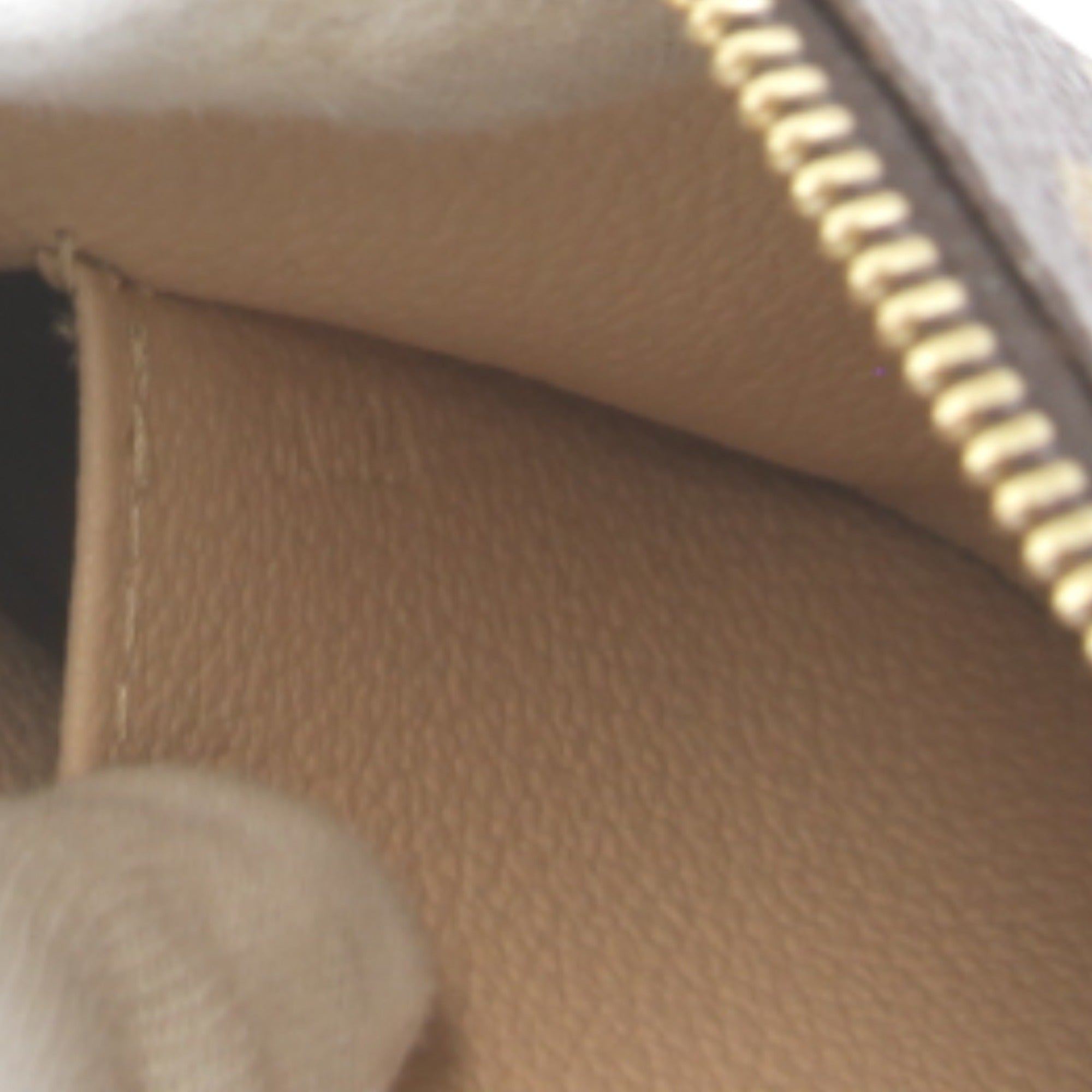 Louis Vuitton Brown Monogram Monogram Pouch (Pre-Owned)