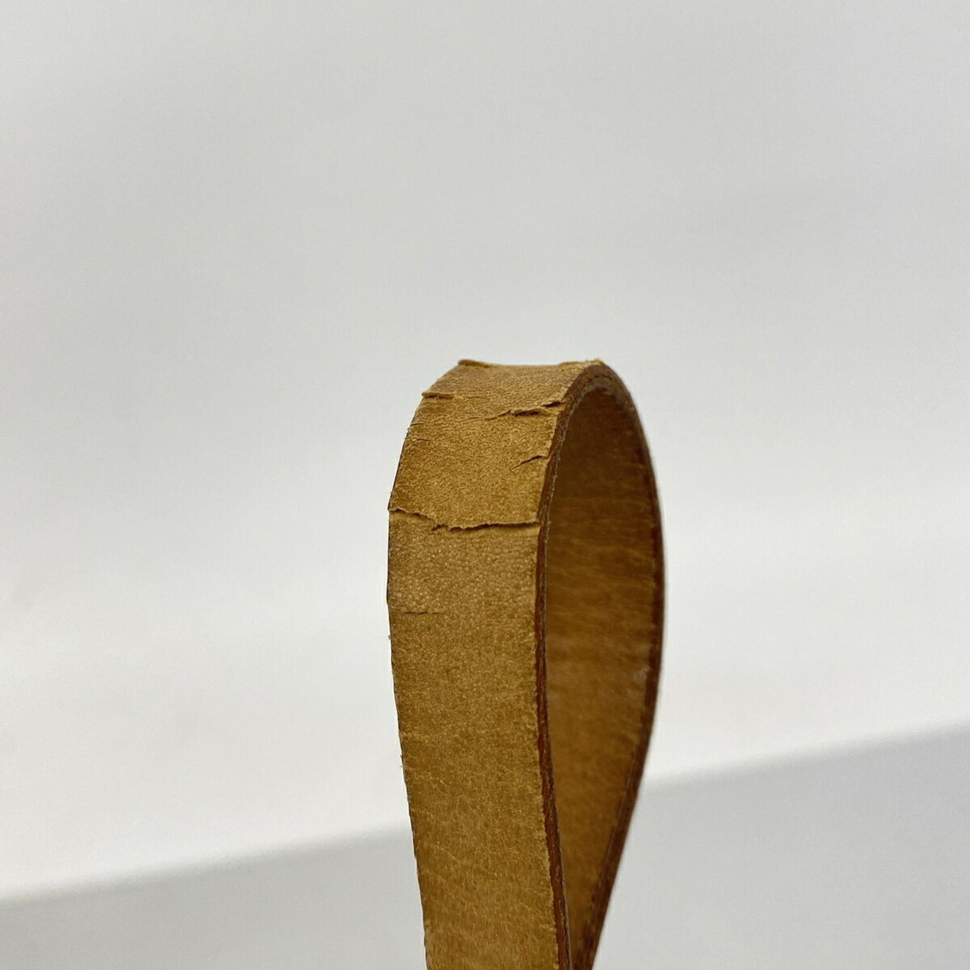 Louis Vuitton Brown Fanny Pack (Pre-Owned)