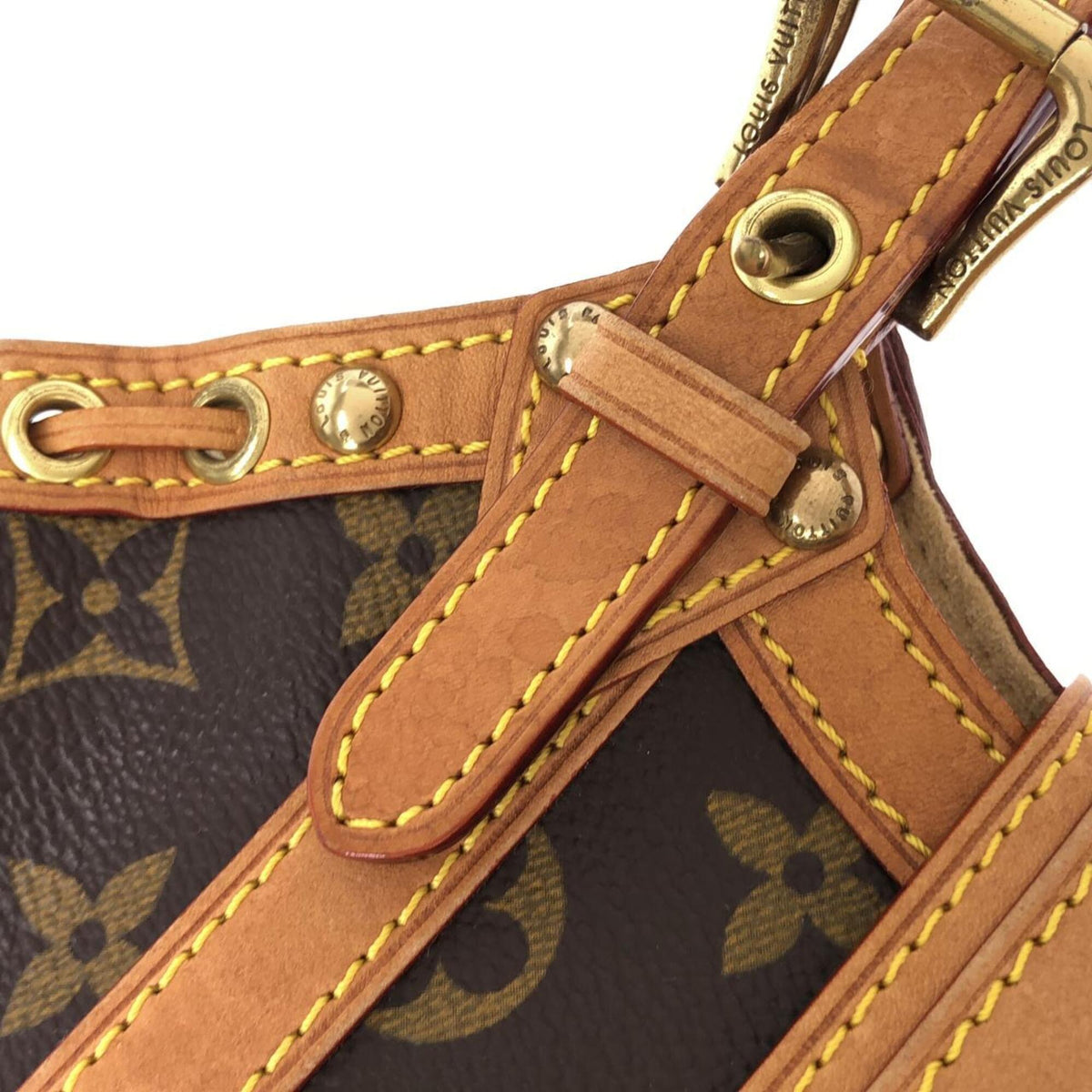 Louis Vuitton Monogram Marron Coated Canvas Handbag (Pre-Owned)