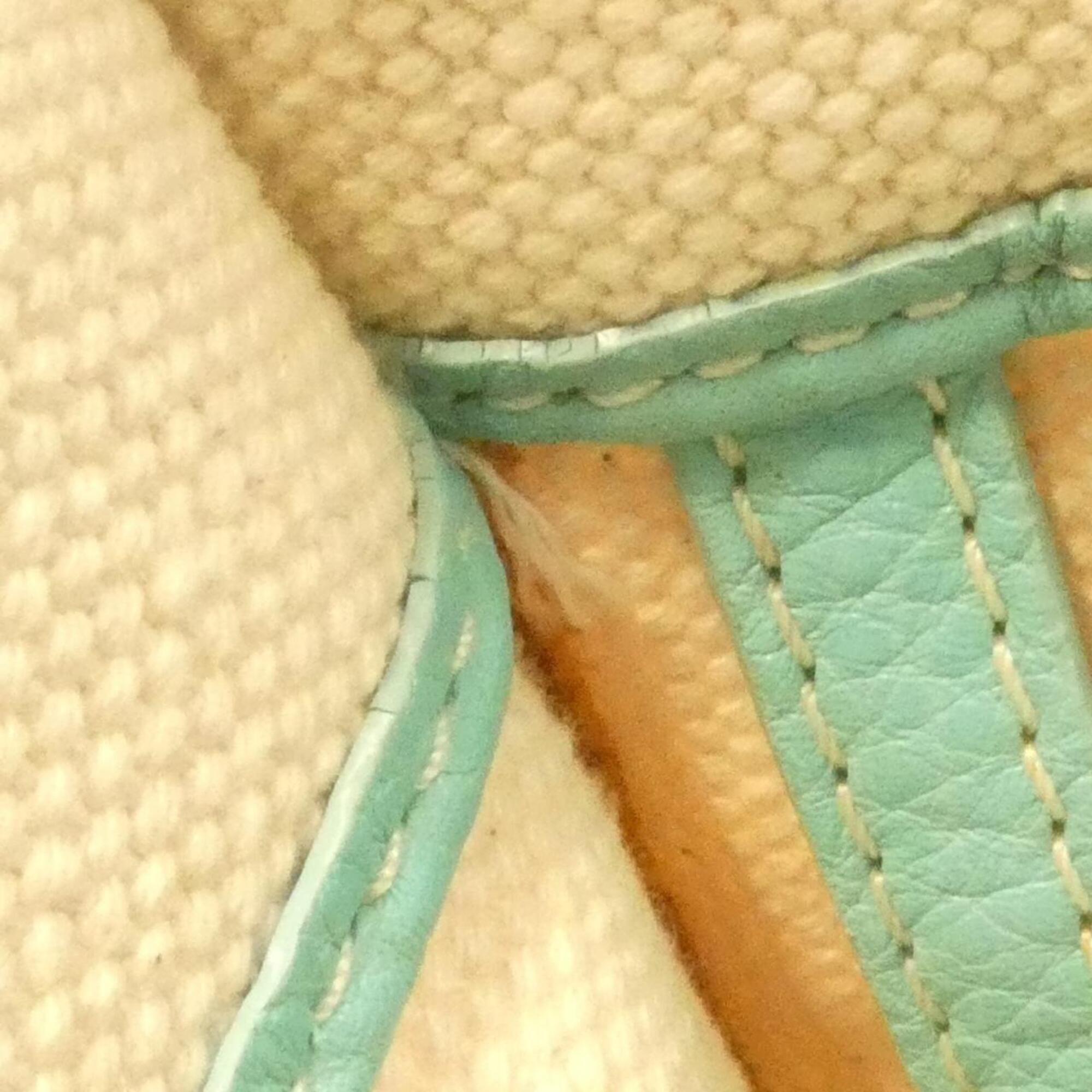 Tiffany Beige Tiffany Blue Canvas Leather Handbag (Pre-Owned)