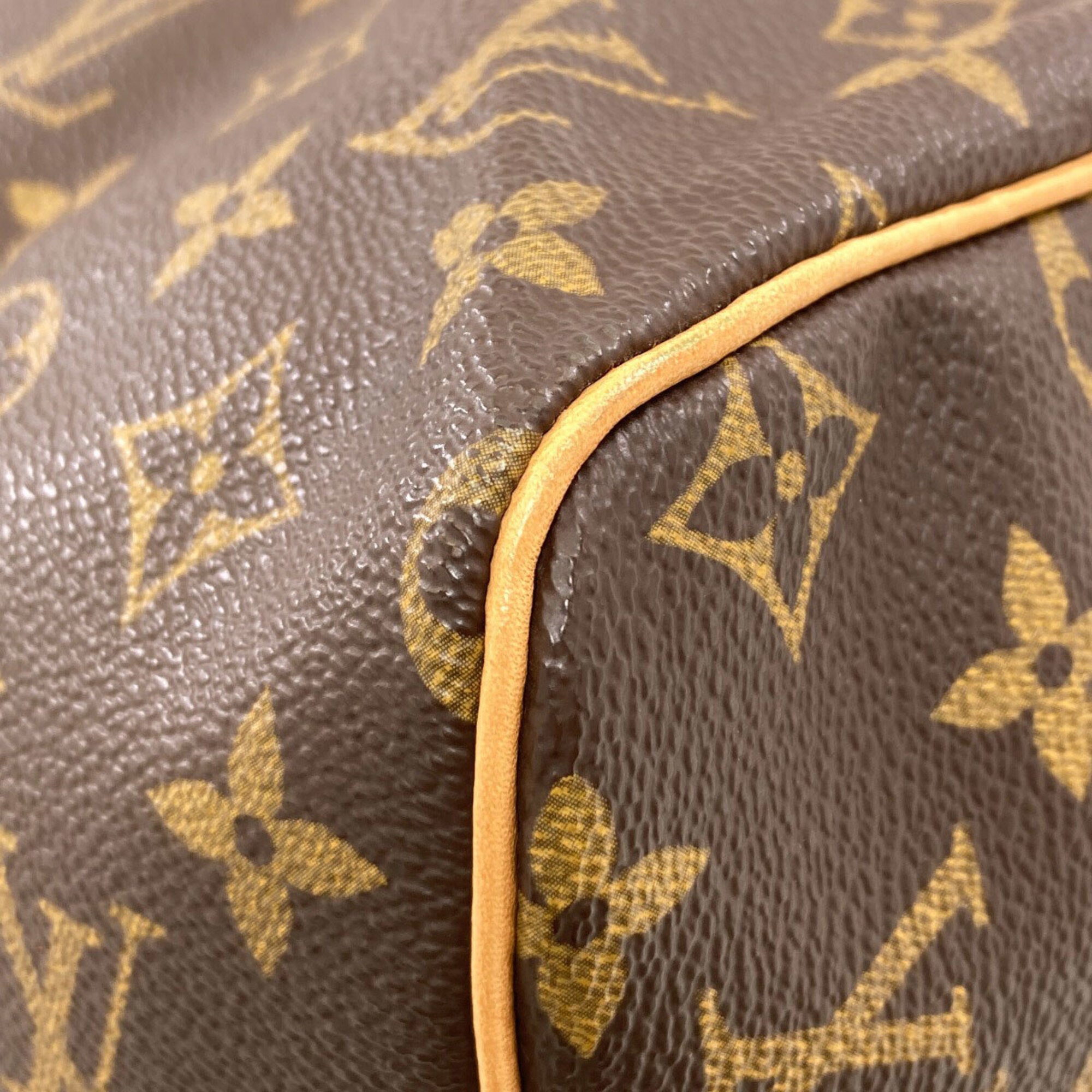 Louis Vuitton Monogram Monogram Monogram Handbag (Pre-Owned)