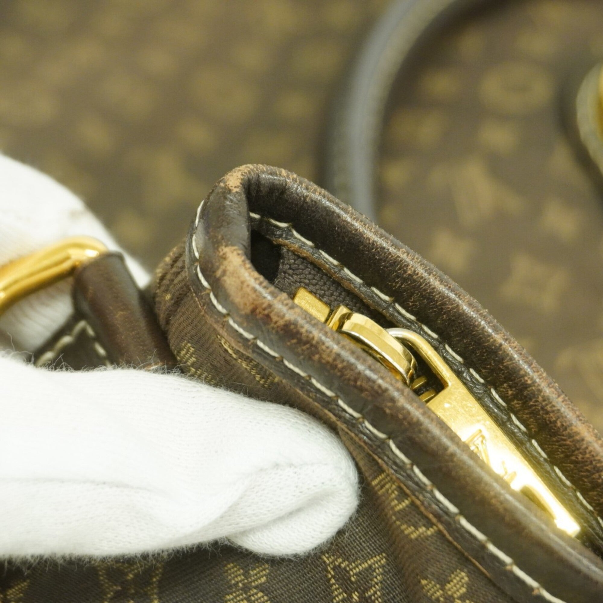 Louis Vuitton Fusain Handbag (Pre-Owned)