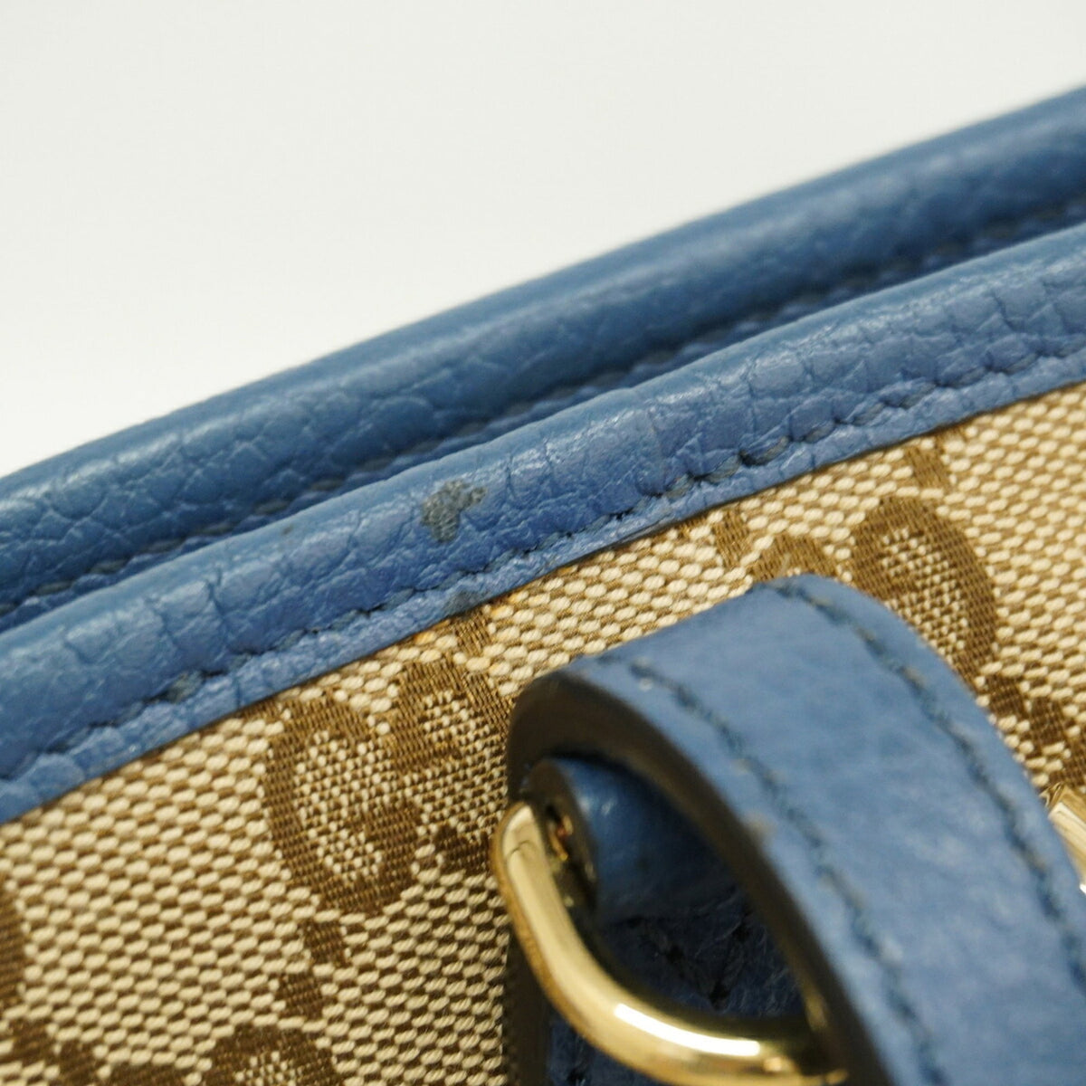 Gucci Beige Blue Canvas Handbag (Pre-Owned)
