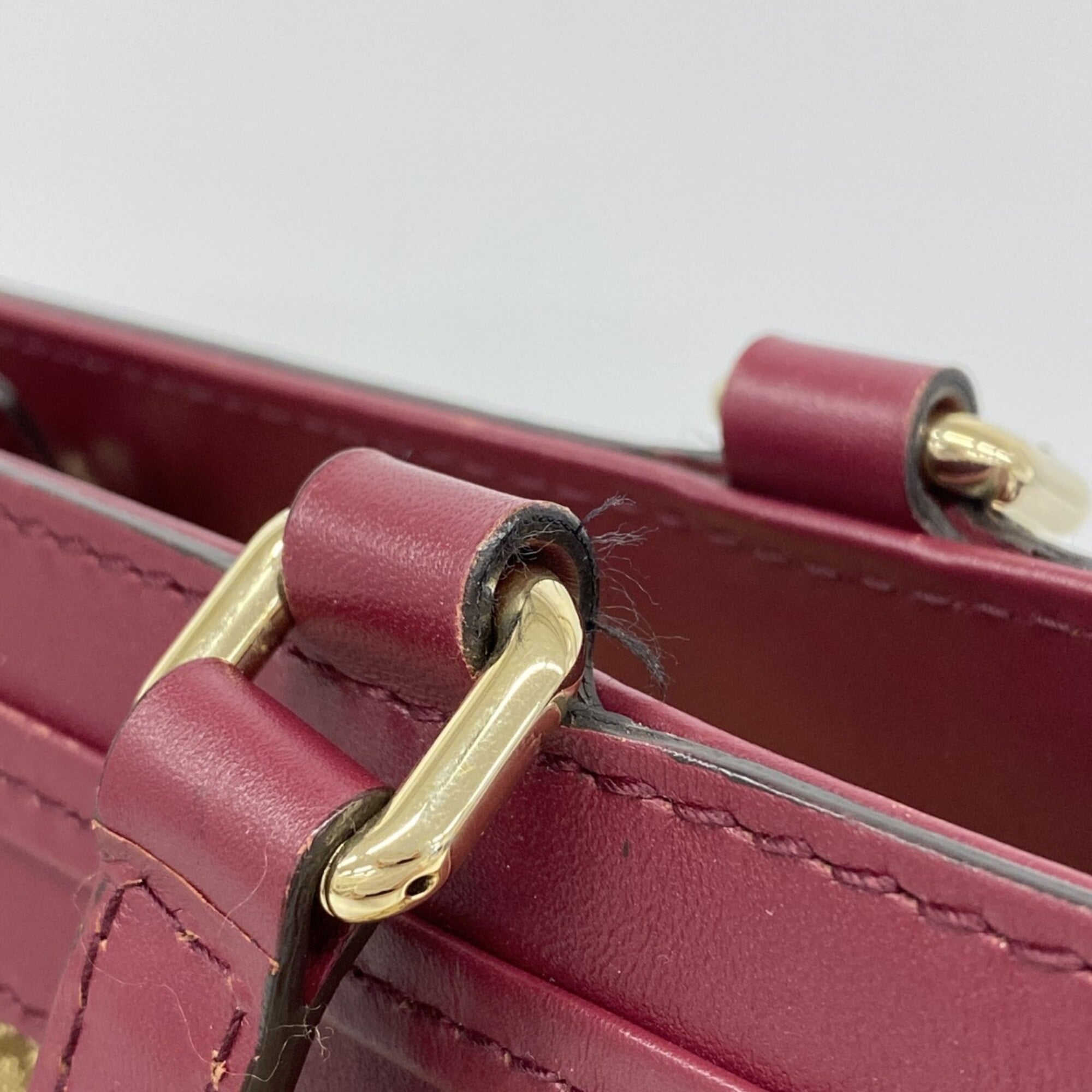 Gucci Bordeaux Brown Canvas Tote Bag (Pre-Owned)