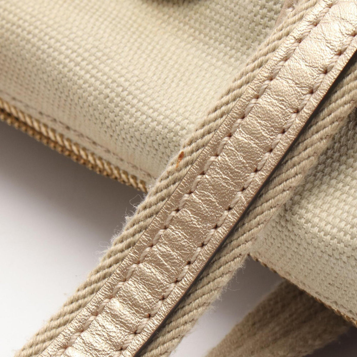 Loewe Beige Canvas Handbag (Pre-Owned)