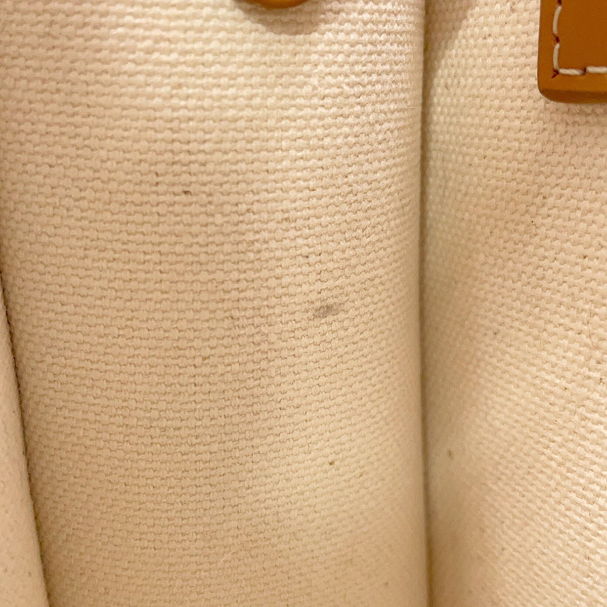 Celine Gold Canvas Leather Handbag Shoulder Bag (Pre-Owned)