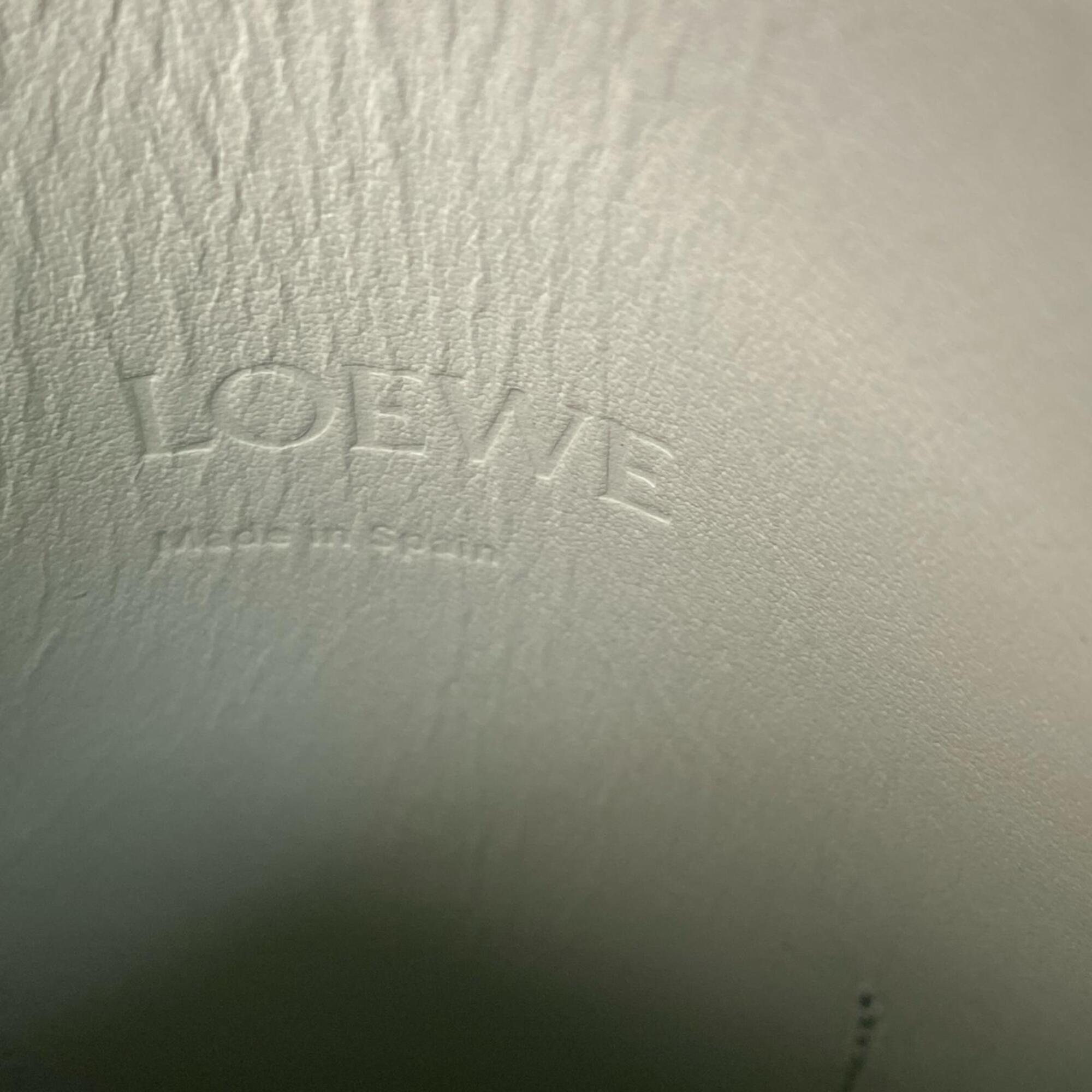 Loewe Light Green Leather Shoulder Bag (Pre-Owned)