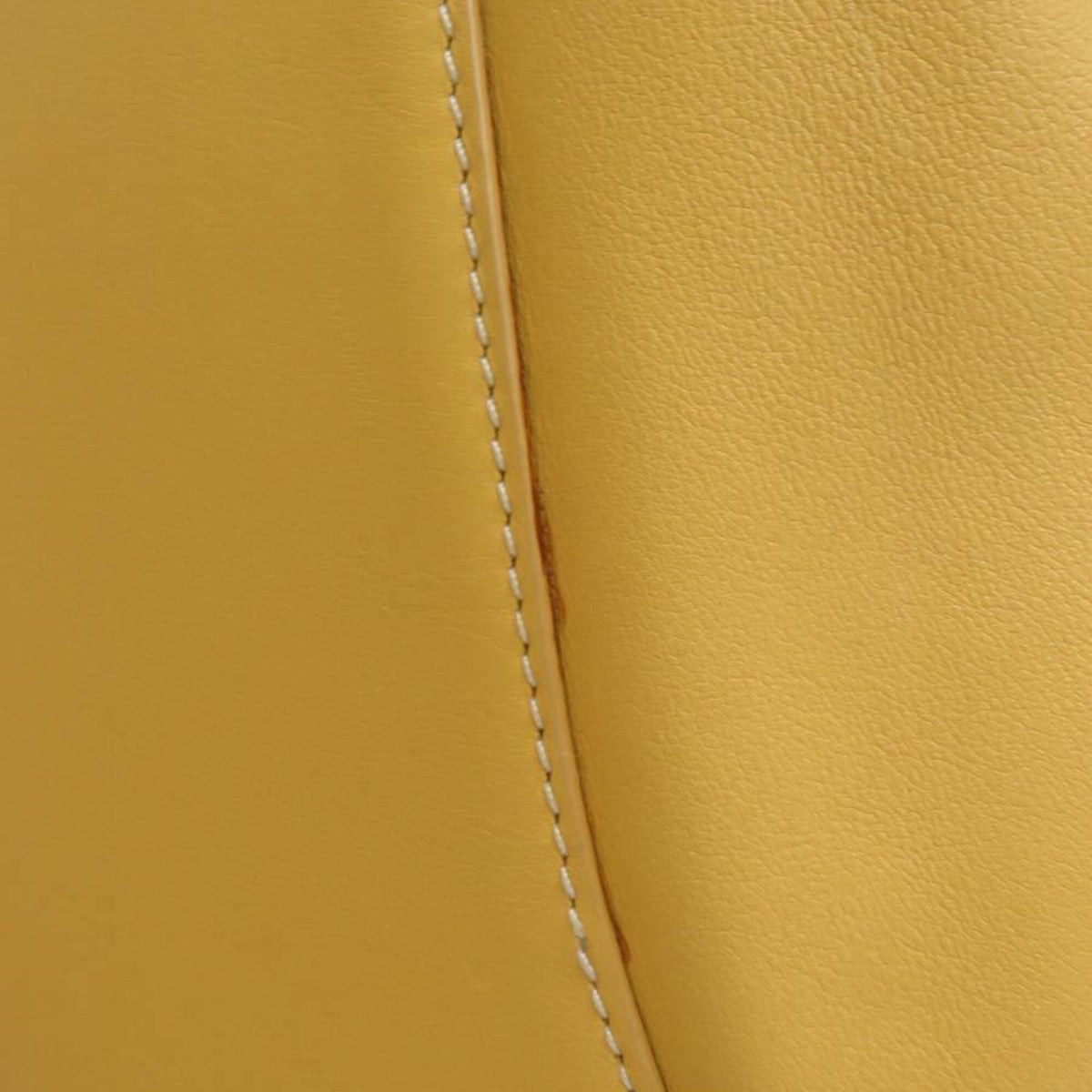 Loewe Yellow Leather Backpack (Pre-Owned)