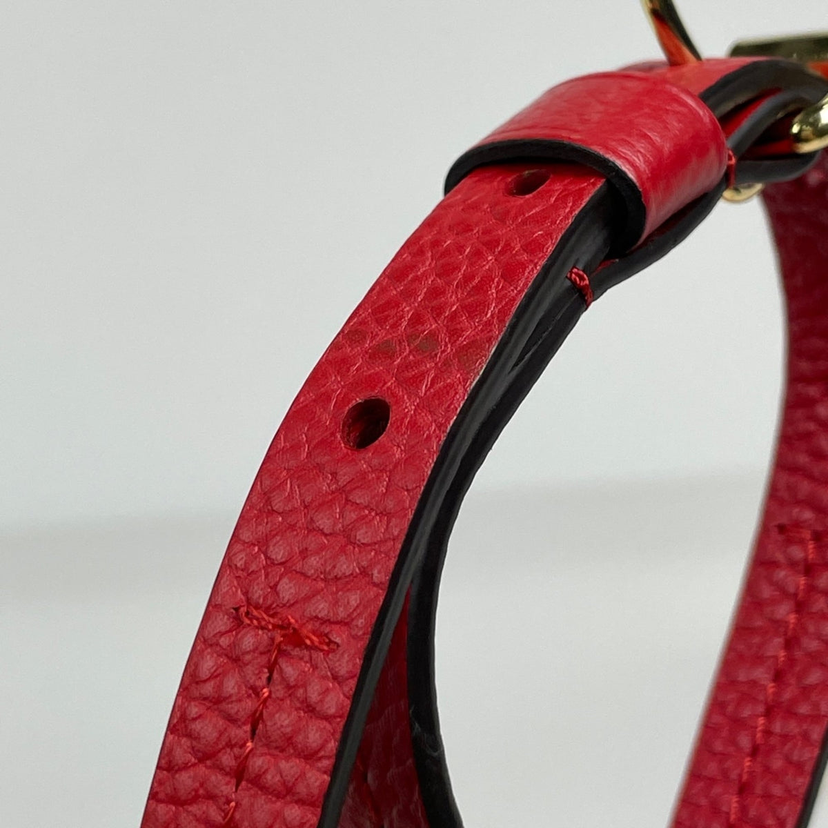 Louis Vuitton Brown Coquelicots Red Color Monogram Handbag (Pre-Owned)