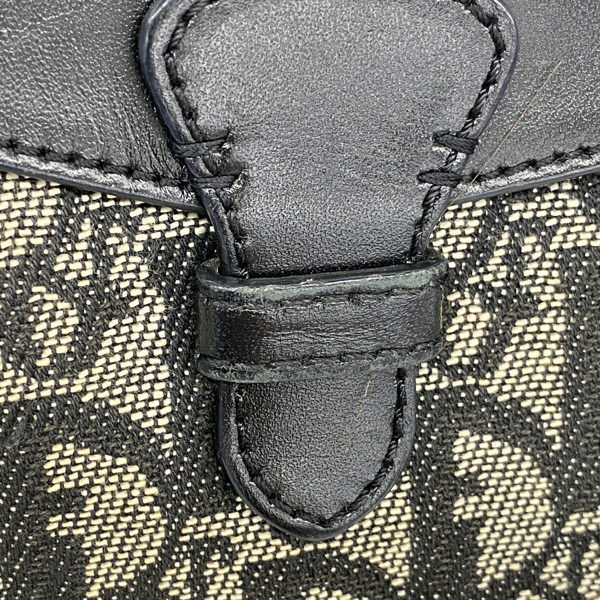 Christian Dior Beige Black Canvas Tote Bag (Pre-Owned)