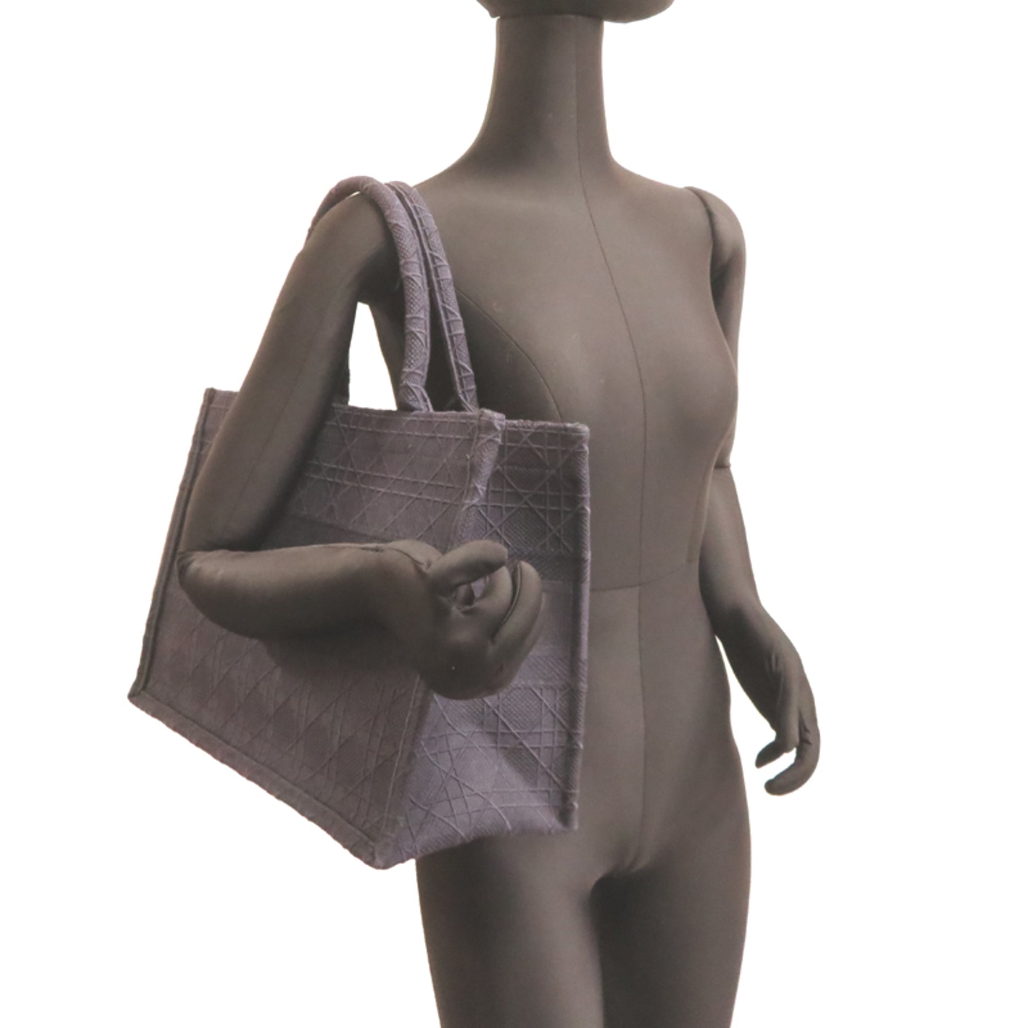 Christian Dior Navy Canvas Tote Bag (Pre-Owned)