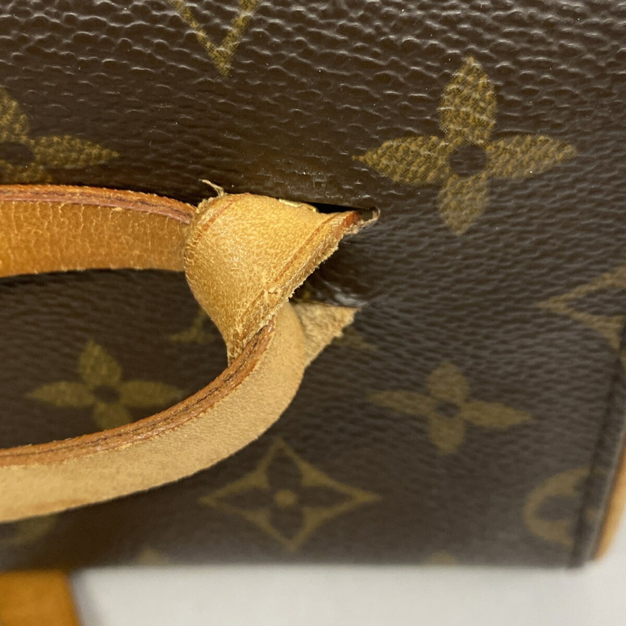 Louis Vuitton Brown Fanny Pack (Pre-Owned)