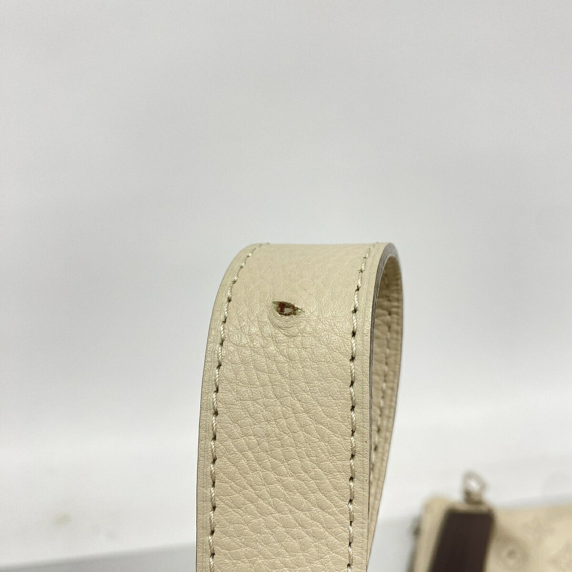 Louis Vuitton Blanc Handbag (Pre-Owned)