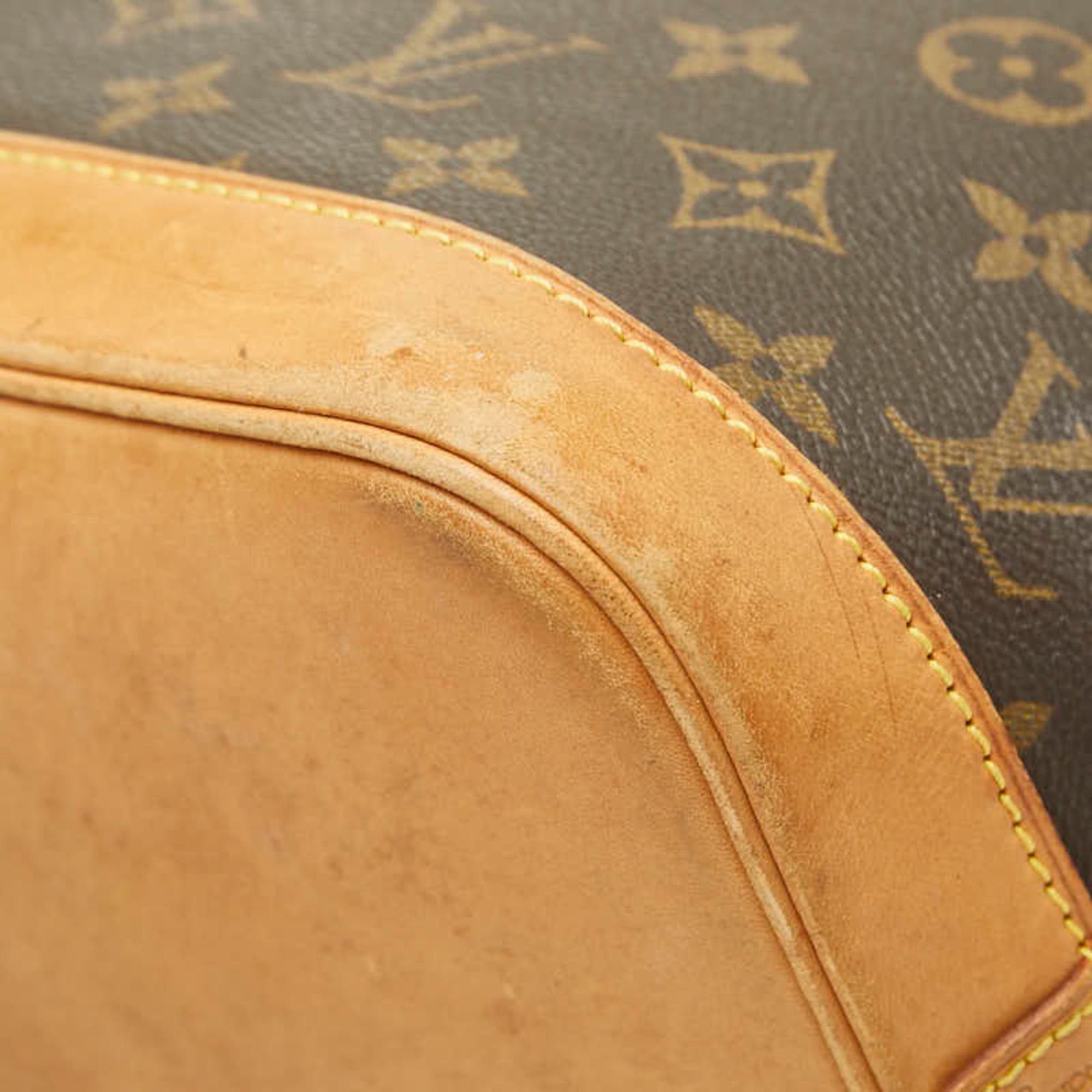 Louis Vuitton Brown Pvc Leather Handbag (Pre-Owned)