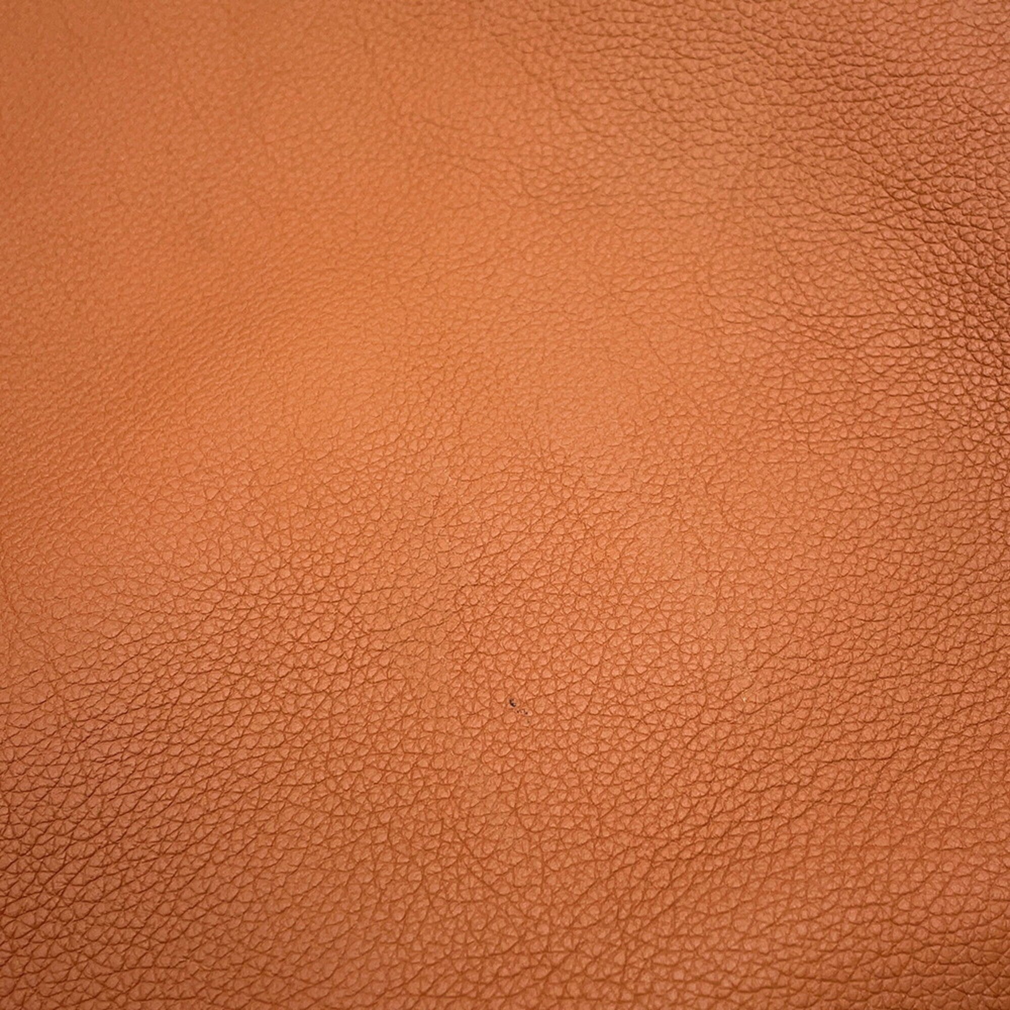 Louis Vuitton Cognac Leather Handbag Pouch Shoulder Bag (Pre-Owned)