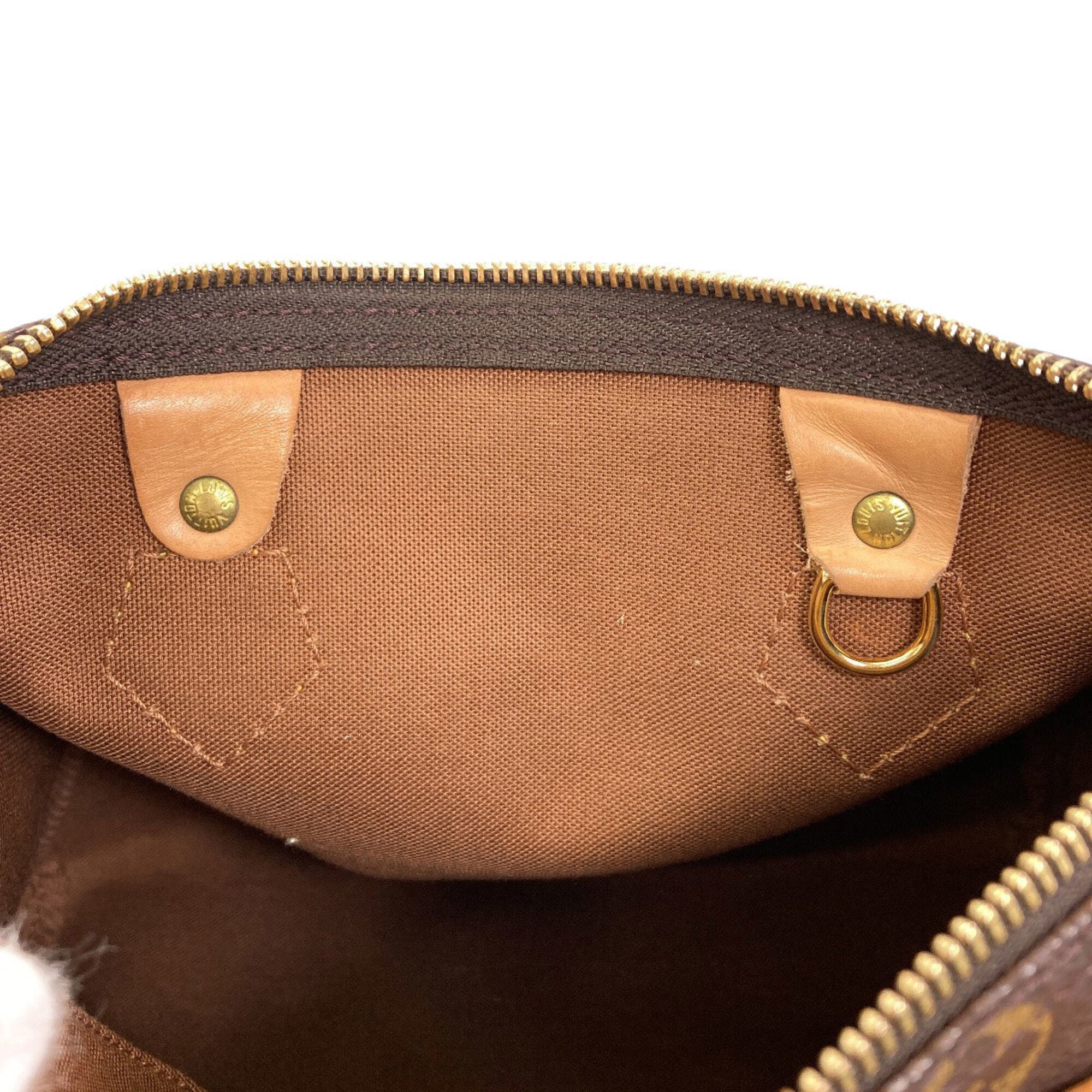 Louis Vuitton Monogram Monogram Monogram Handbag (Pre-Owned)