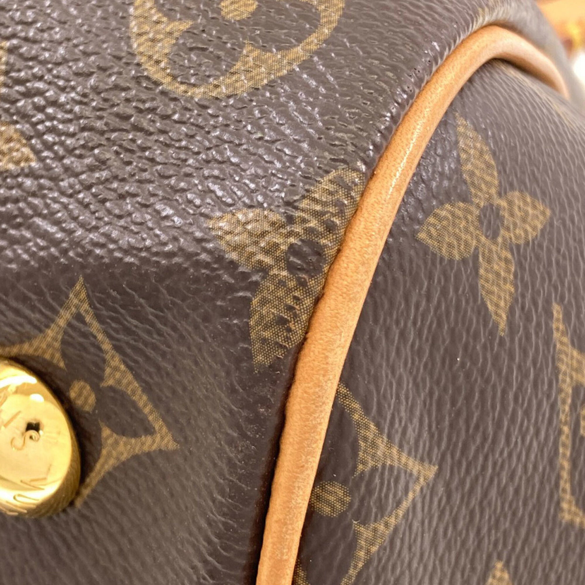 Louis Vuitton Monogram Monogram Monogram Handbag (Pre-Owned)