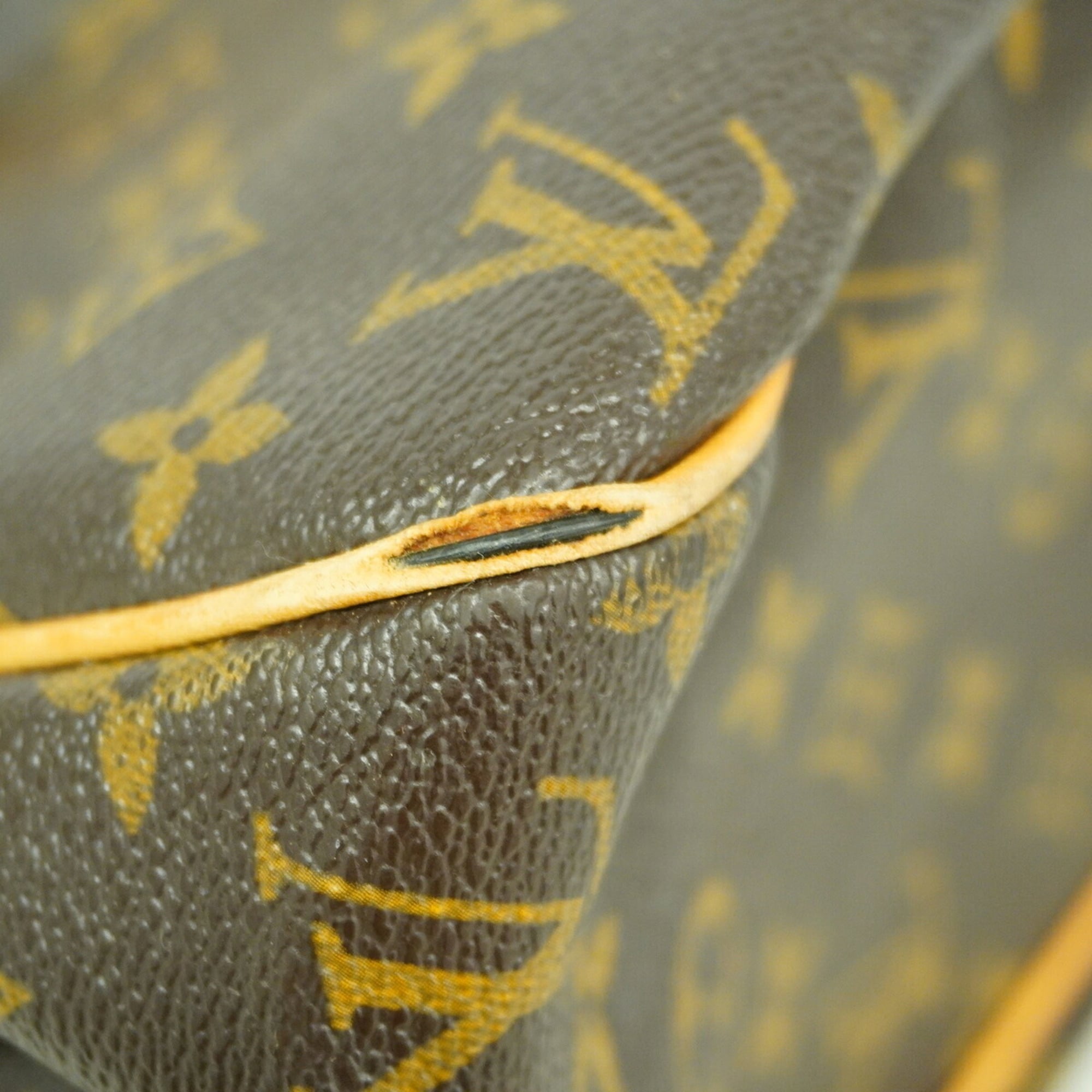 Louis Vuitton Brown Tote Bag (Pre-Owned)