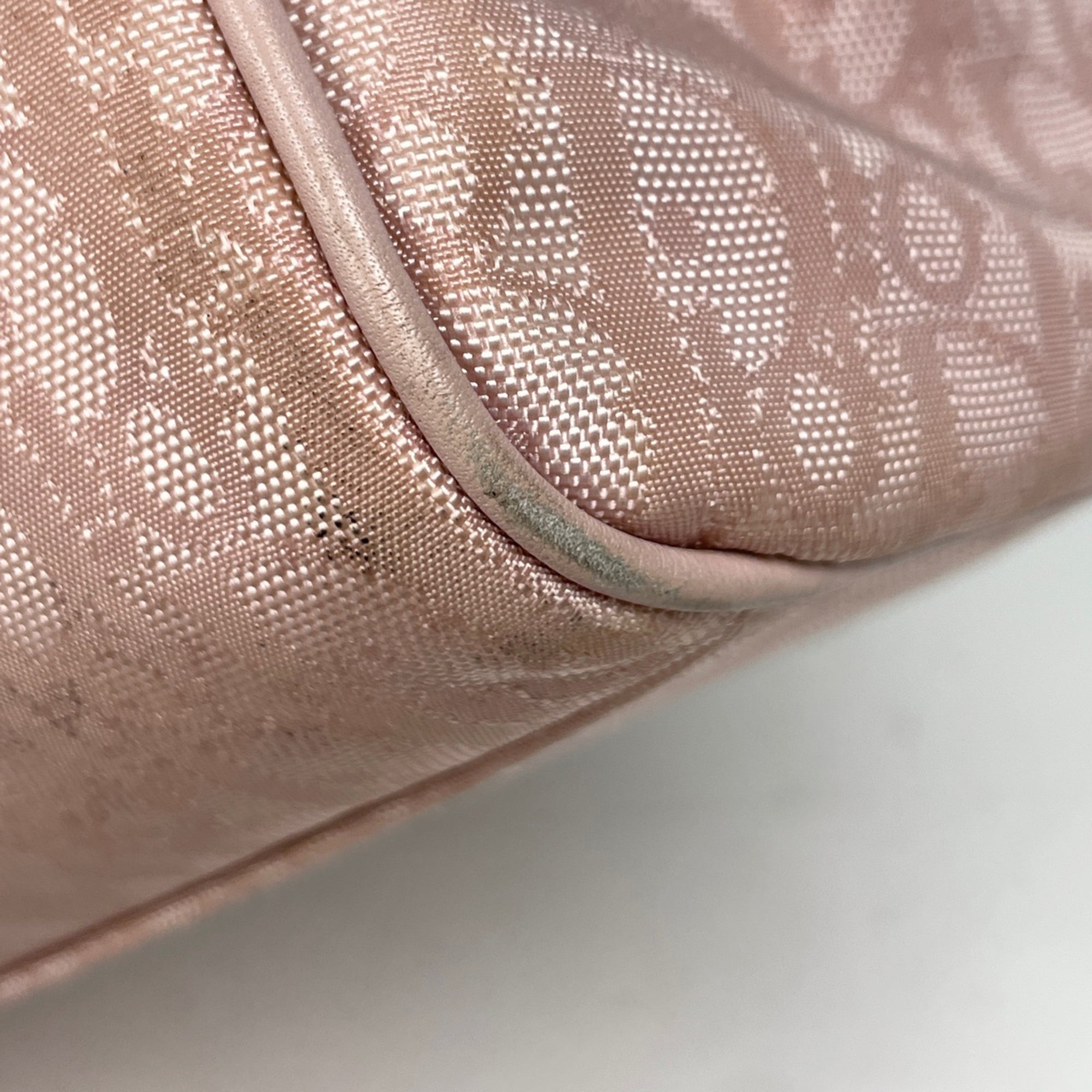 Christian Dior Pink Trotter Handbag Tote Bag (Pre-Owned)
