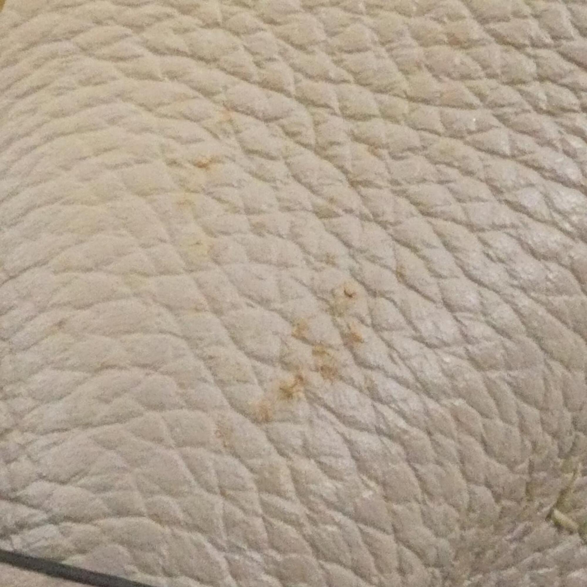 Loewe Beige Leather Shoulder Bag (Pre-Owned)