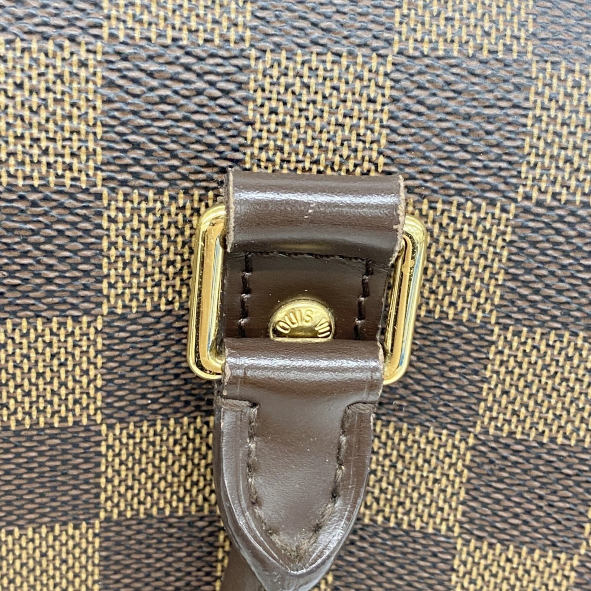 Louis Vuitton Ebene Handbag (Pre-Owned)
