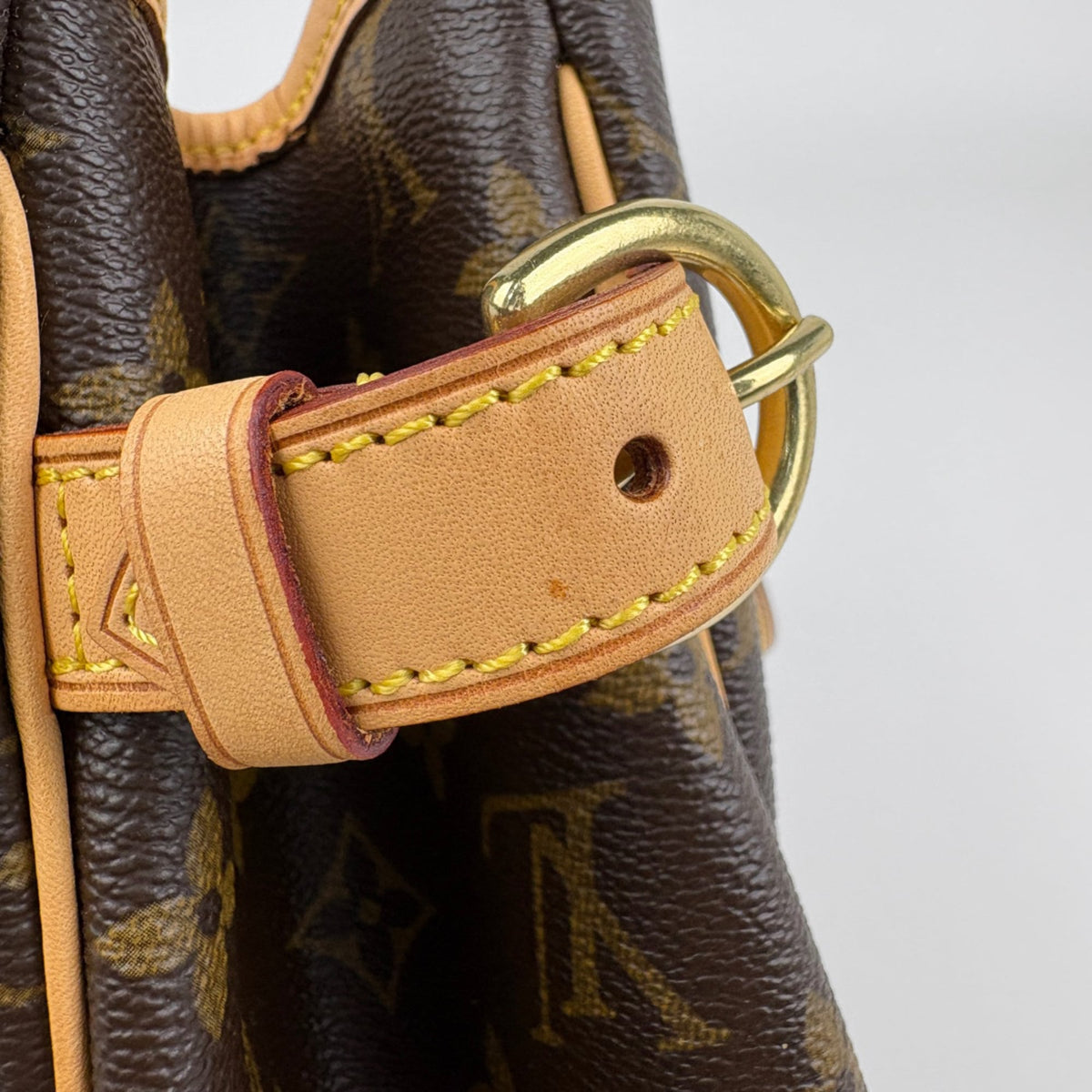 Louis Vuitton Monogram Brown Monogram Monogram Handbag Tote Bag (Pre-Owned)