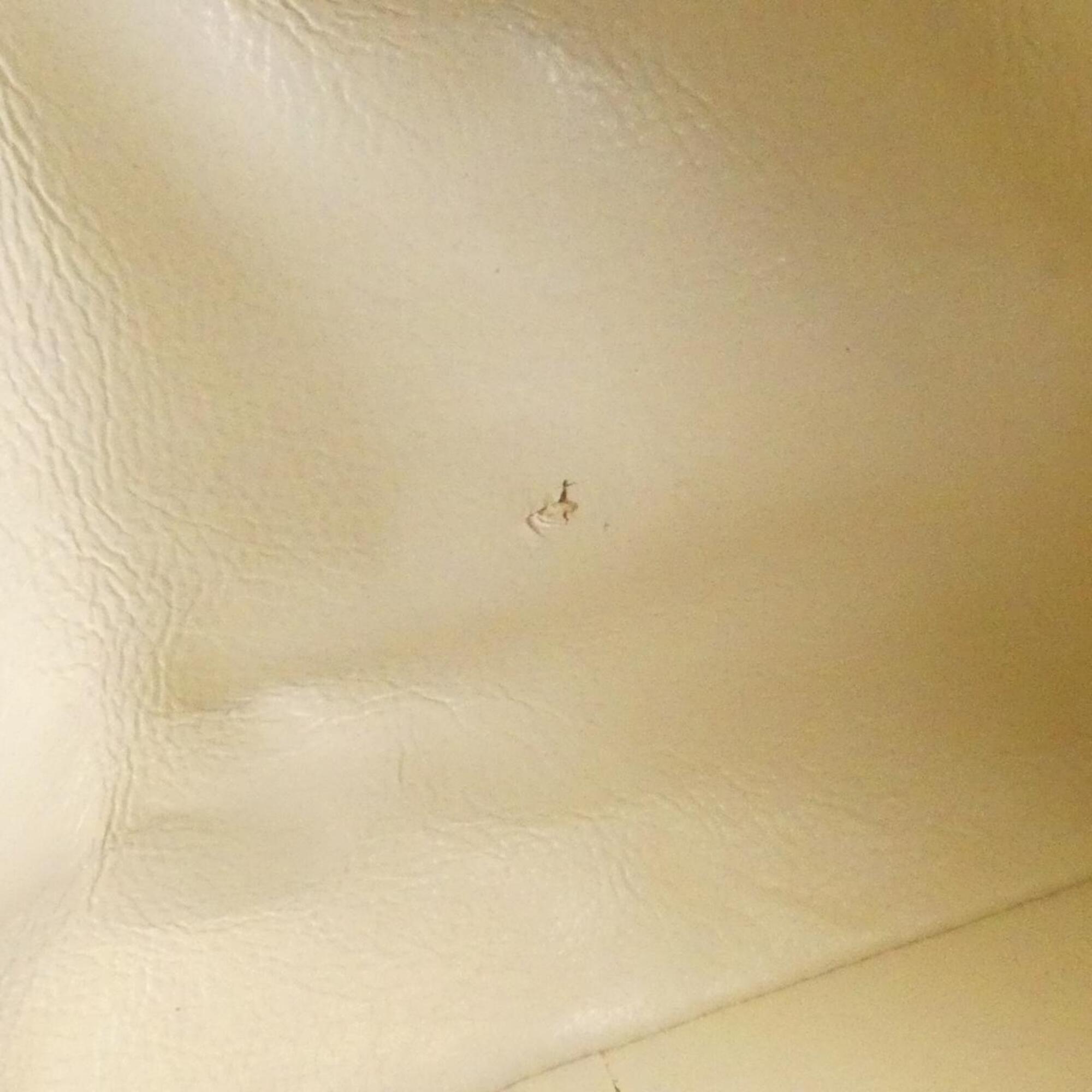 Chanel Ivory Canvas Handbag (Pre-Owned)