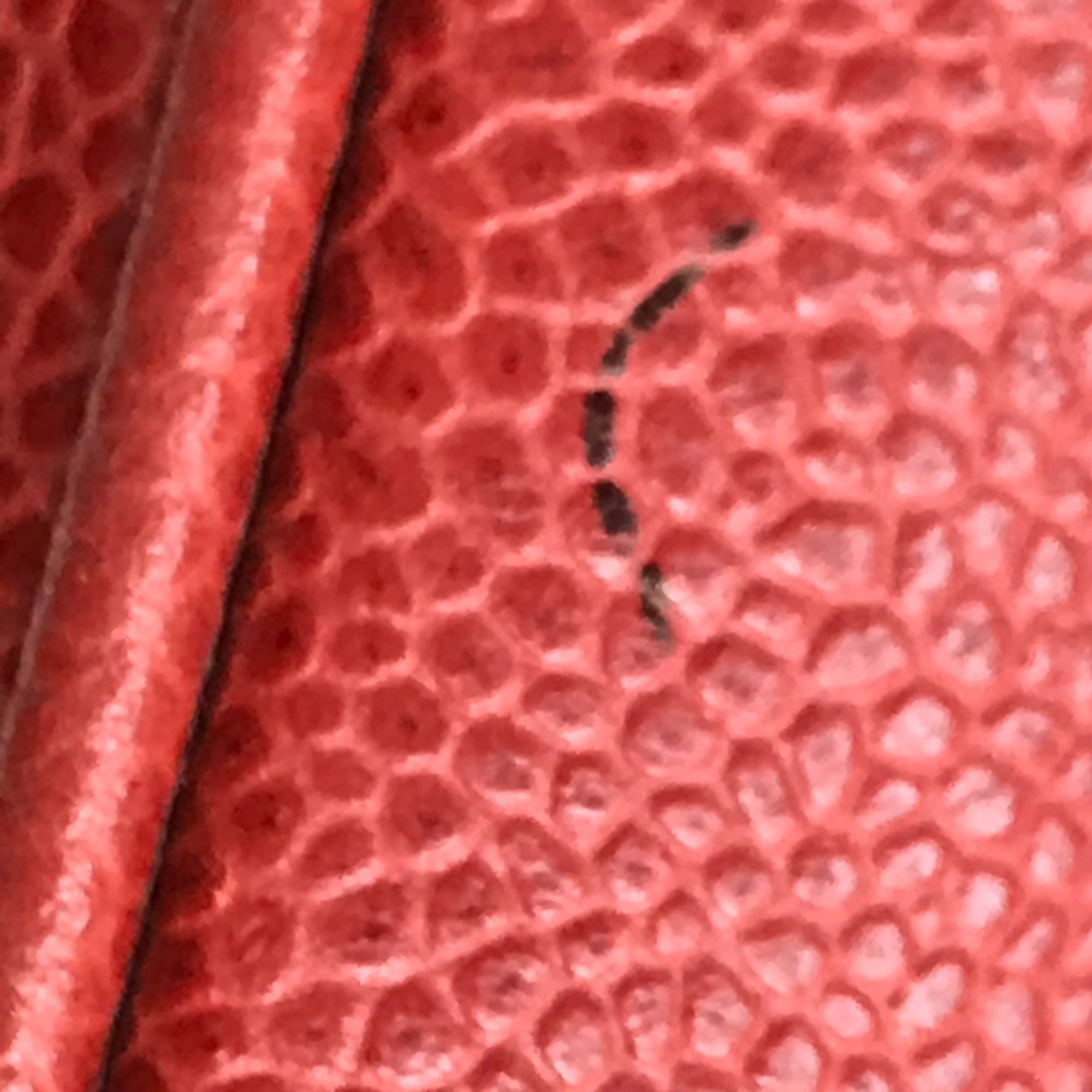 Chanel Red Leather Handbag (Pre-Owned)
