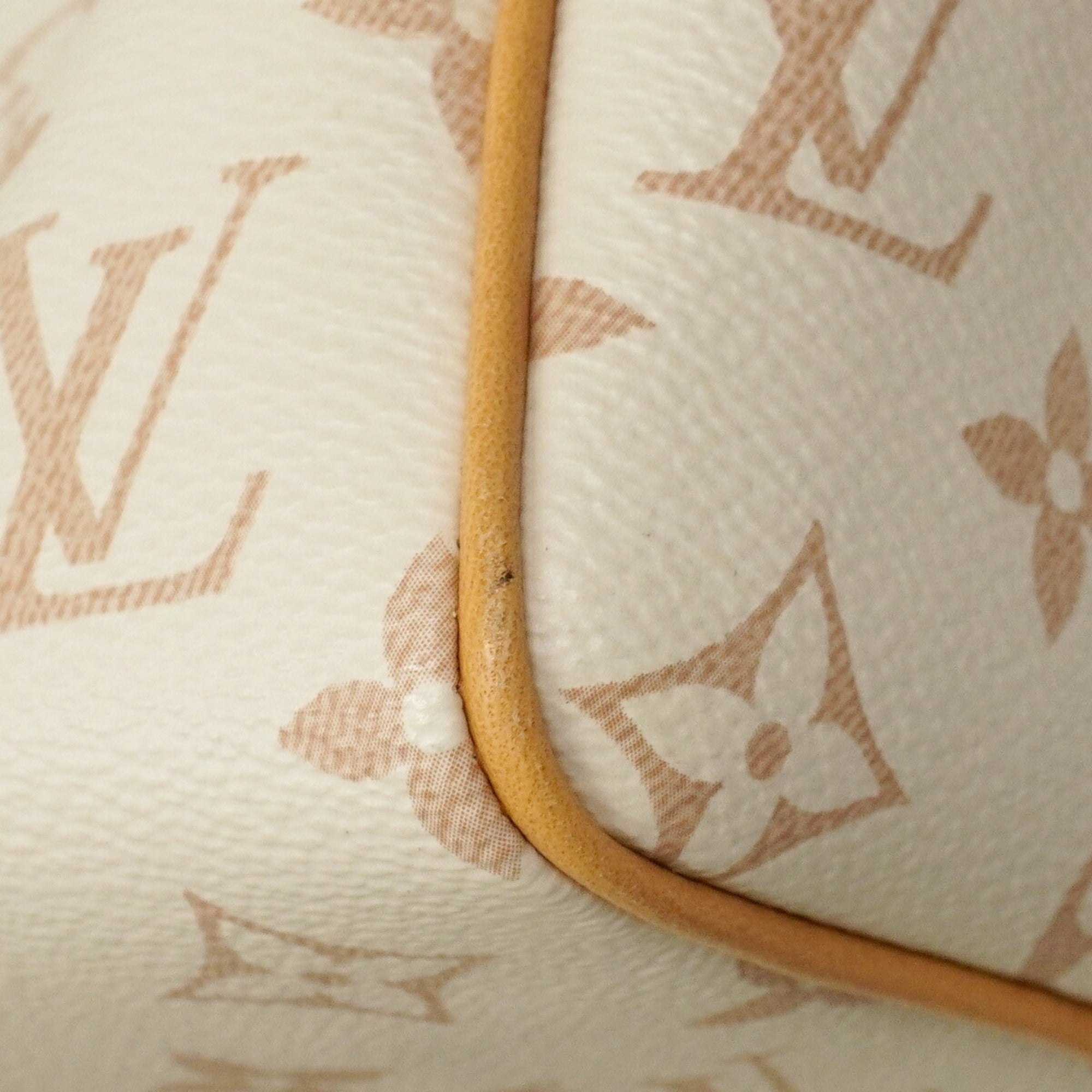 Louis Vuitton Beige Black Handbag (Pre-Owned)