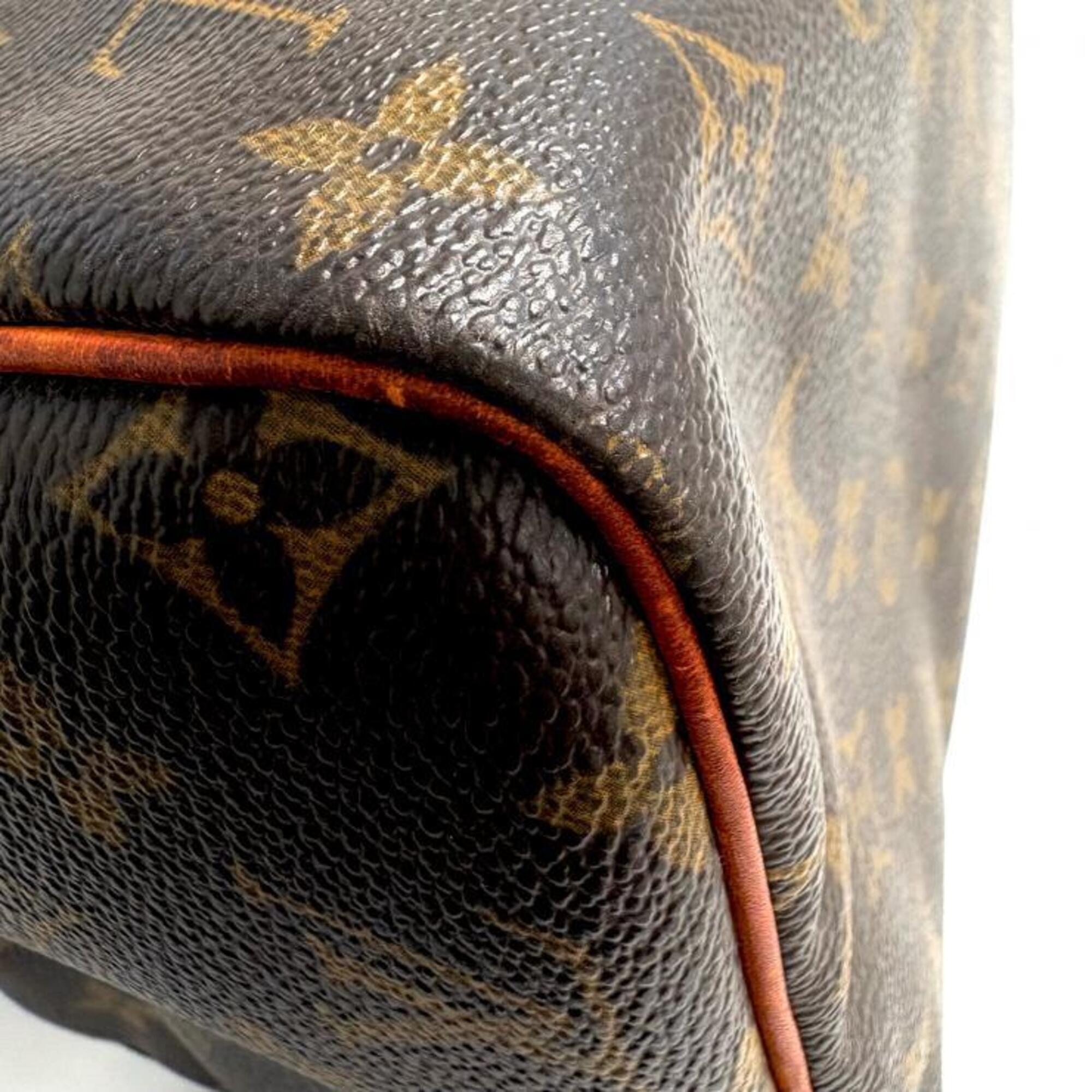 Louis Vuitton Beige Brown Monogram Handbag (Pre-Owned)