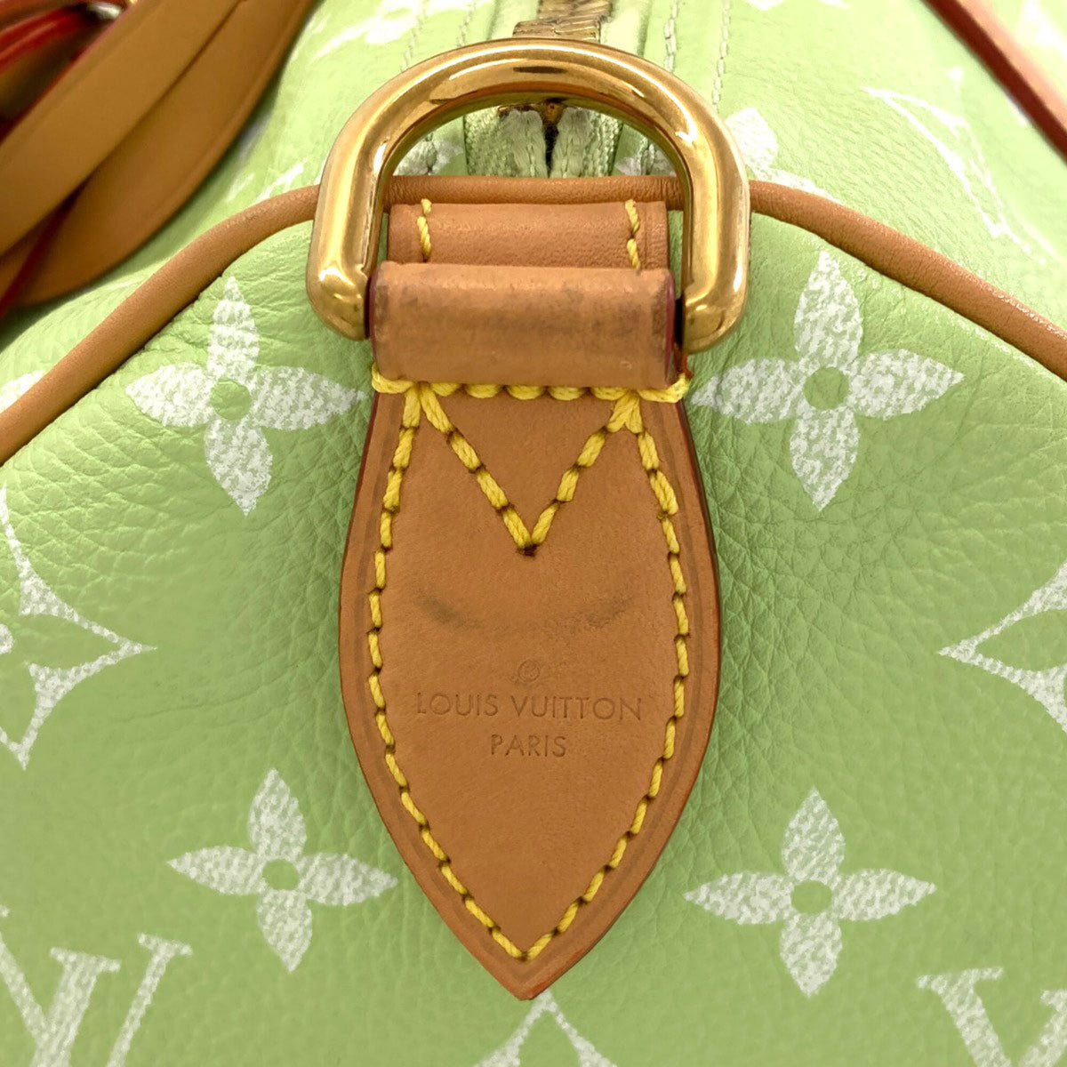 Louis Vuitton Green Monogram Monogram Canvas Leather Handbag (Pre-Owned)