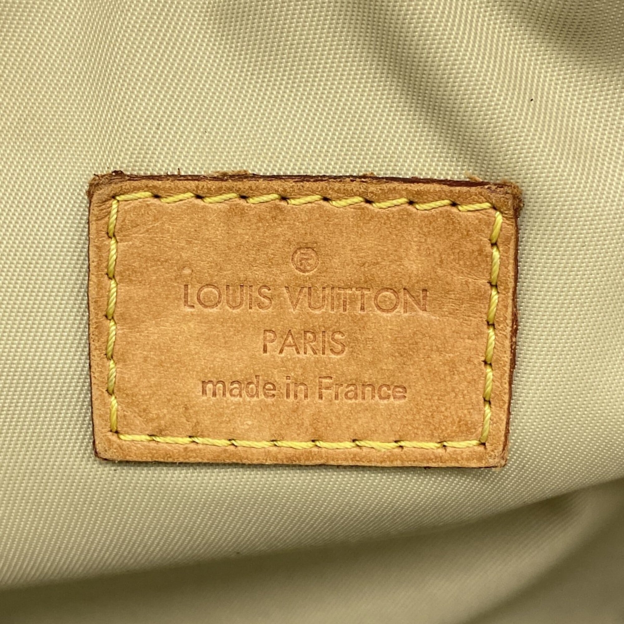 Louis Vuitton Earth Sling Bag (Pre-Owned)