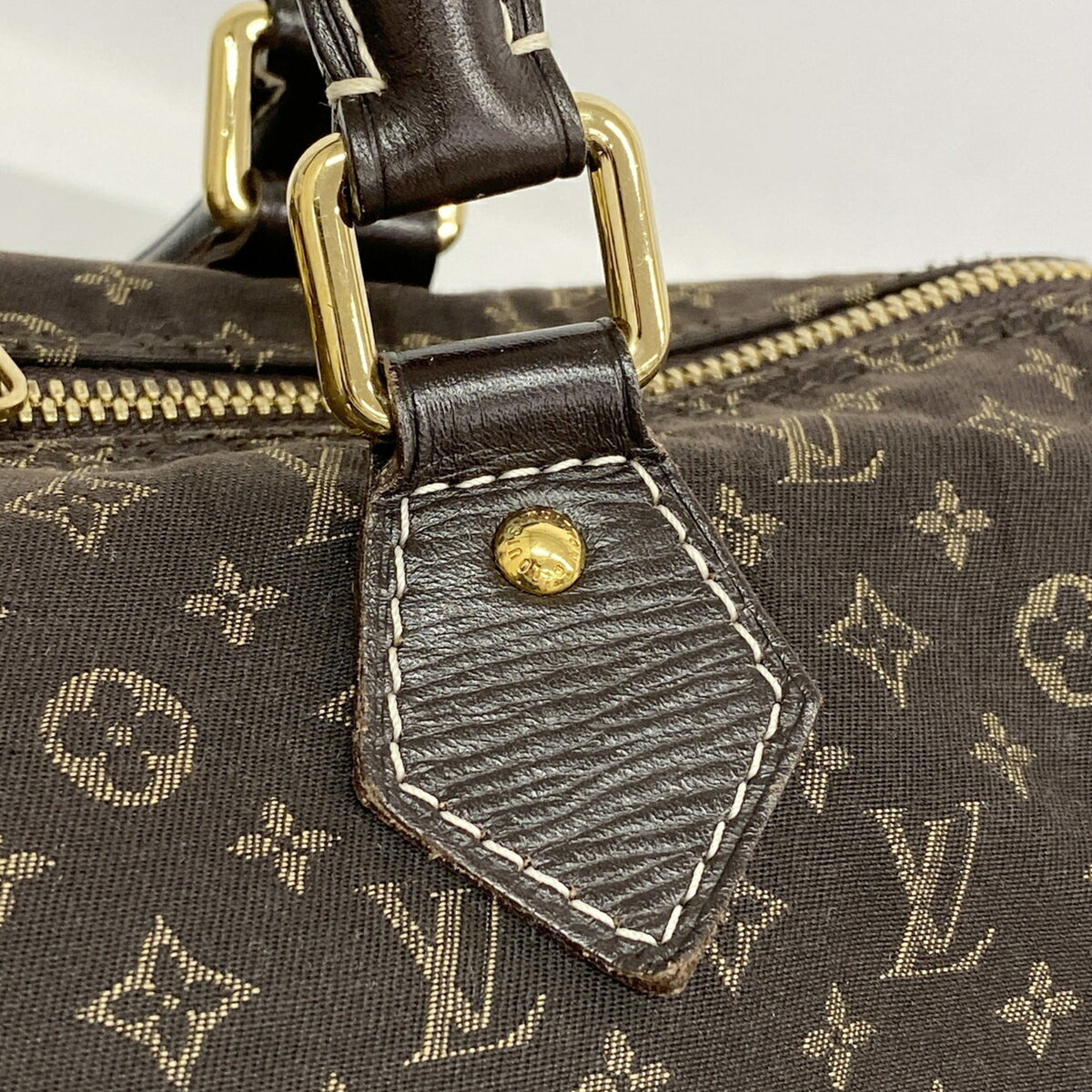 Louis Vuitton Fusain Handbag (Pre-Owned)