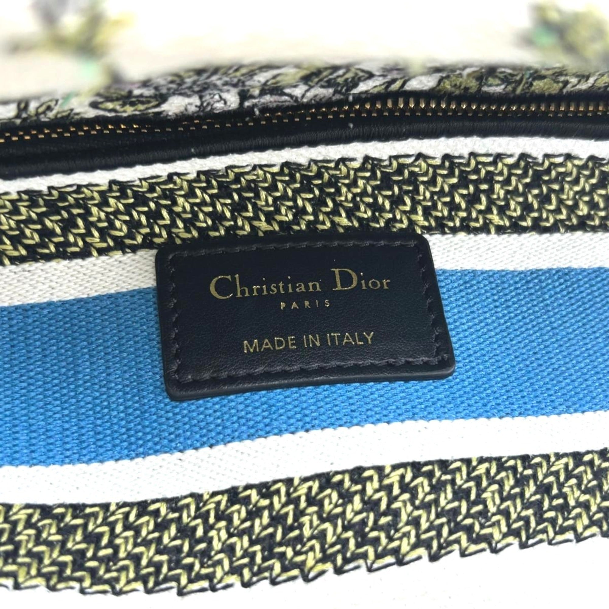 Christian Dior Lady Dior Multi-Color Canvas Handbag (Pre-Owned)