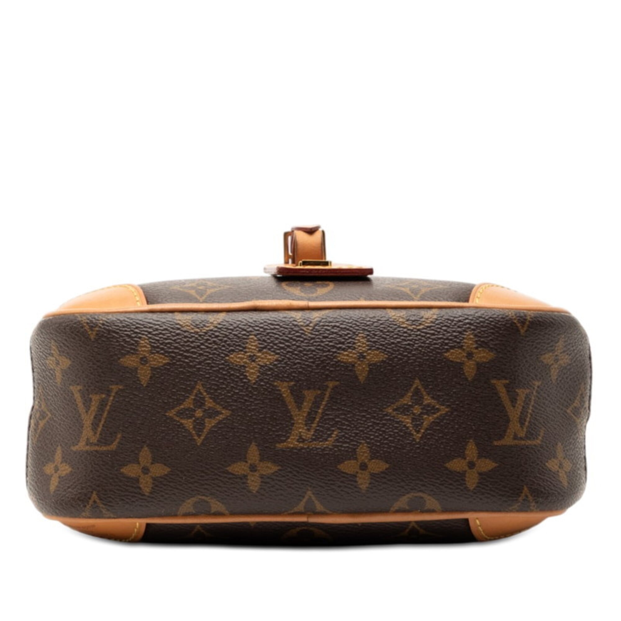 Louis Vuitton Brown Monogram Pvc Leather Pochette Shoulder Bag (Pre-Owned)