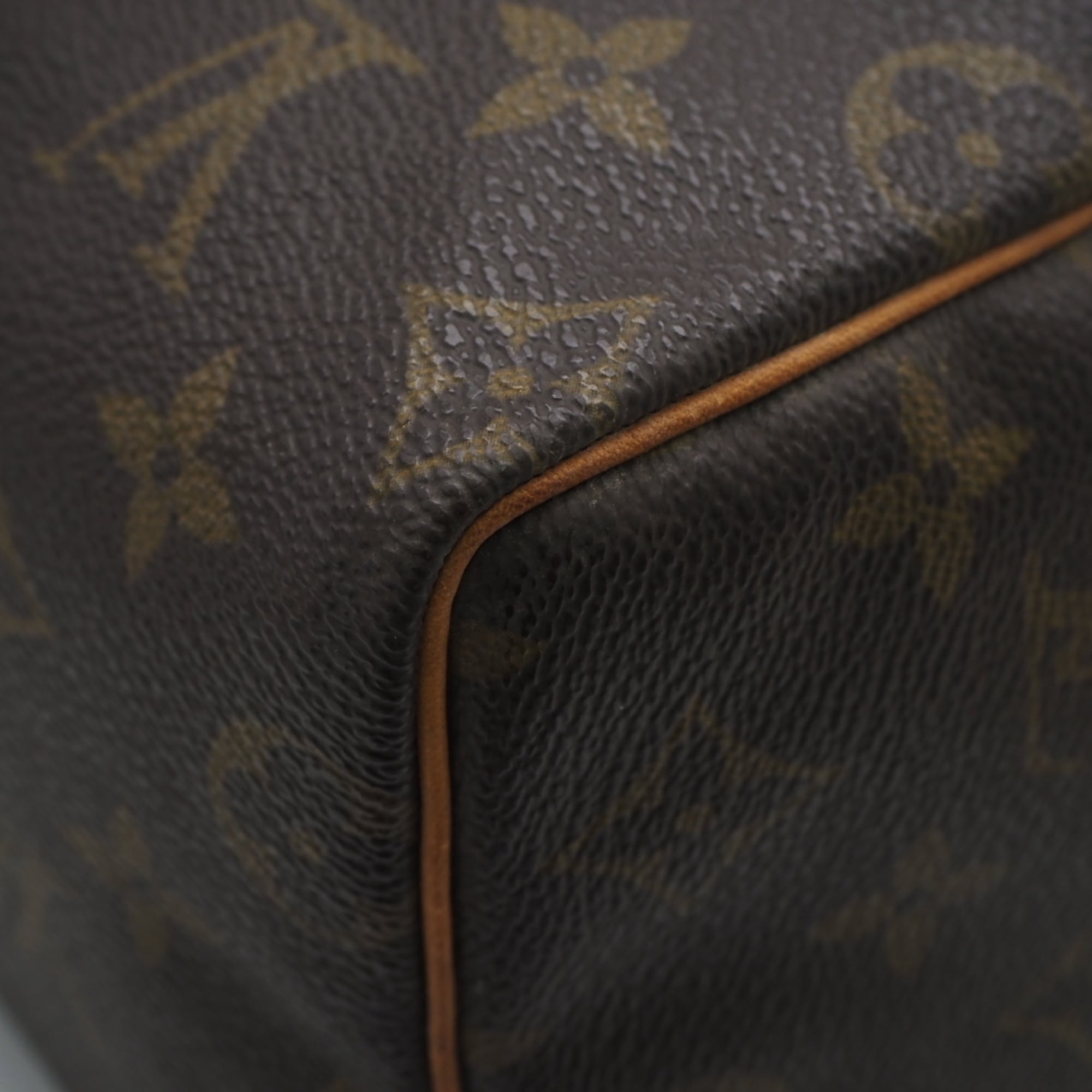 Louis Vuitton Beige Brown Coated Canvas Leather Handbag (Pre-Owned)