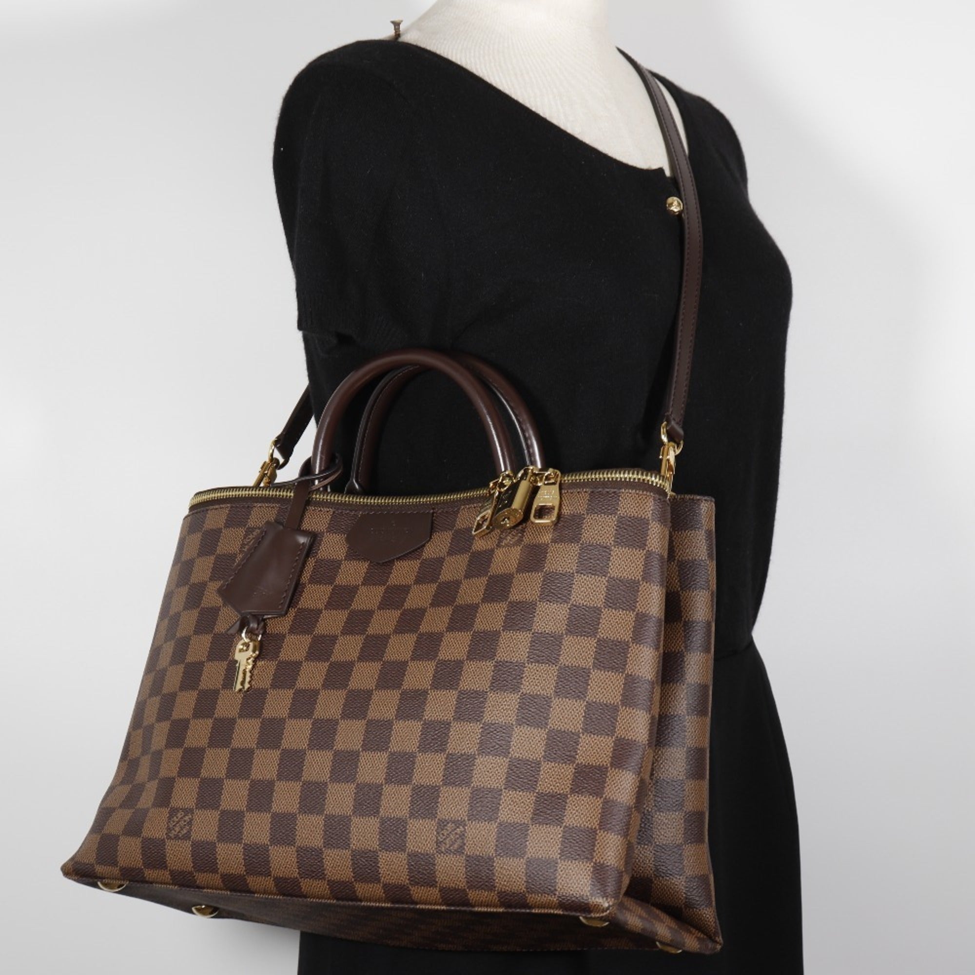 Louis Vuitton Brown Damier Canvas Handbag (Pre-Owned)