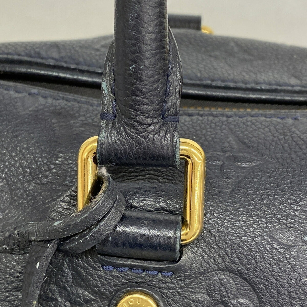 Louis Vuitton Infini Handbag (Pre-Owned)