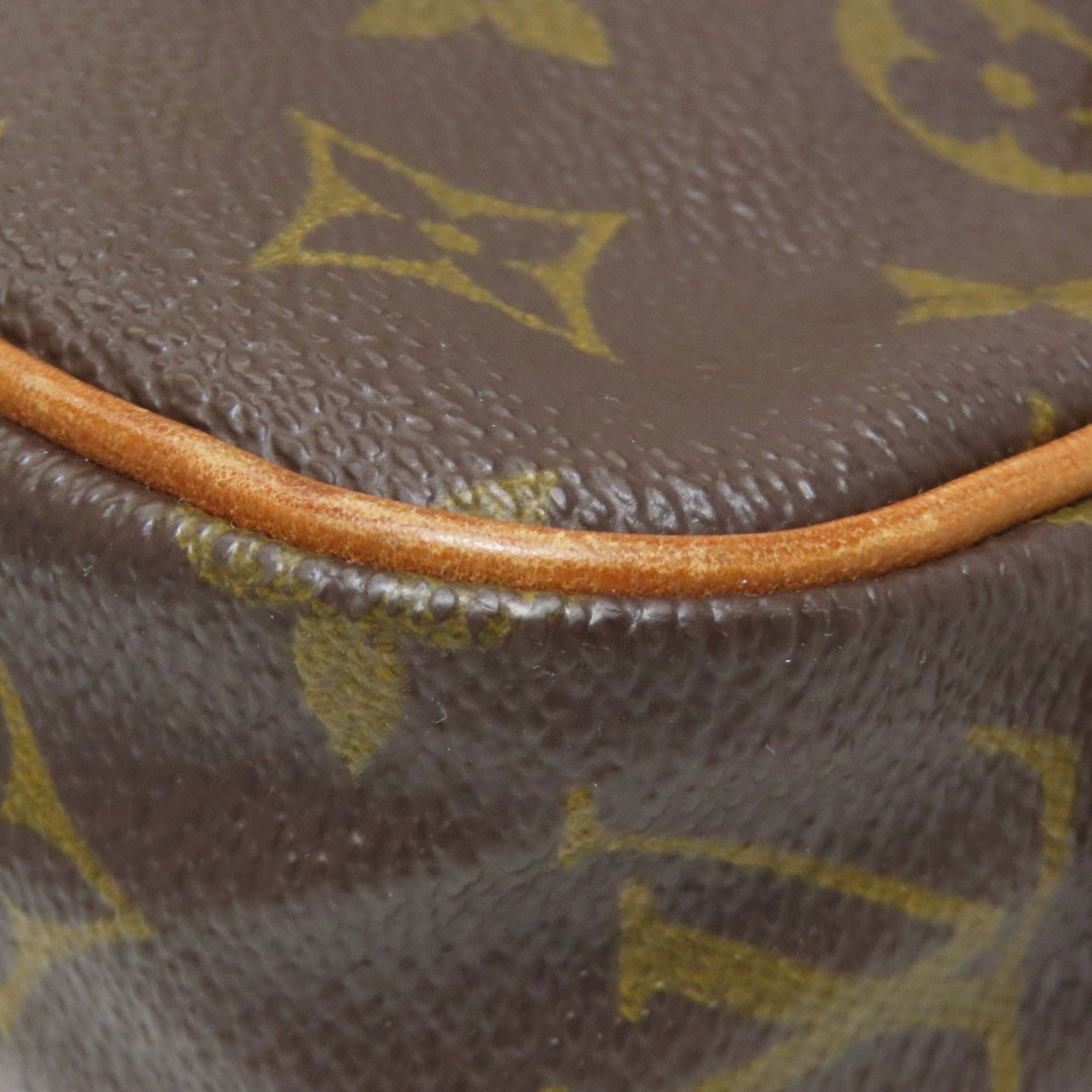 Louis Vuitton Monogram Monogram Pochette Shoulder Bag (Pre-Owned)