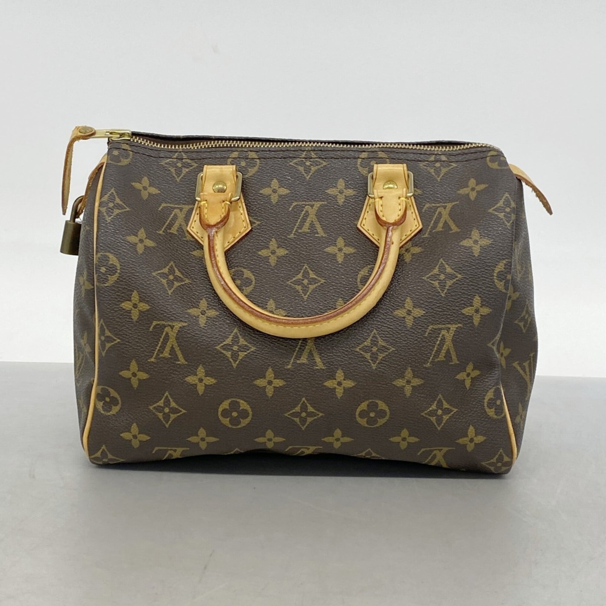 Louis Vuitton Brown Handbag (Pre-Owned)