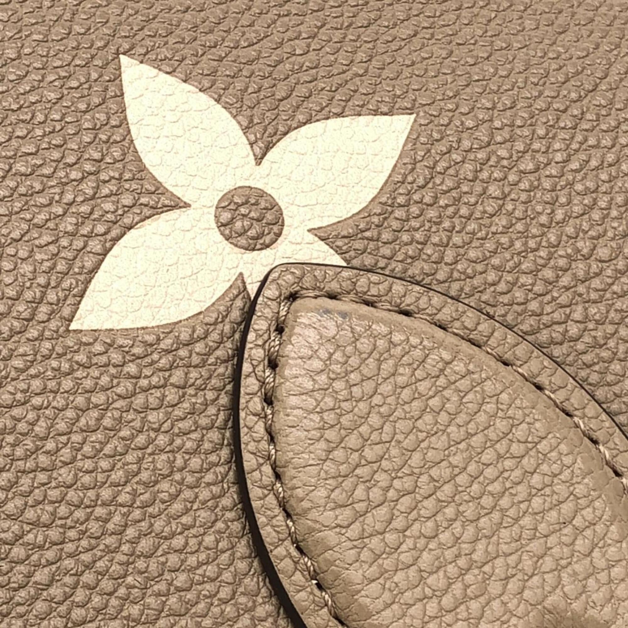 Louis Vuitton Tourterelle Leather Handbag (Pre-Owned)