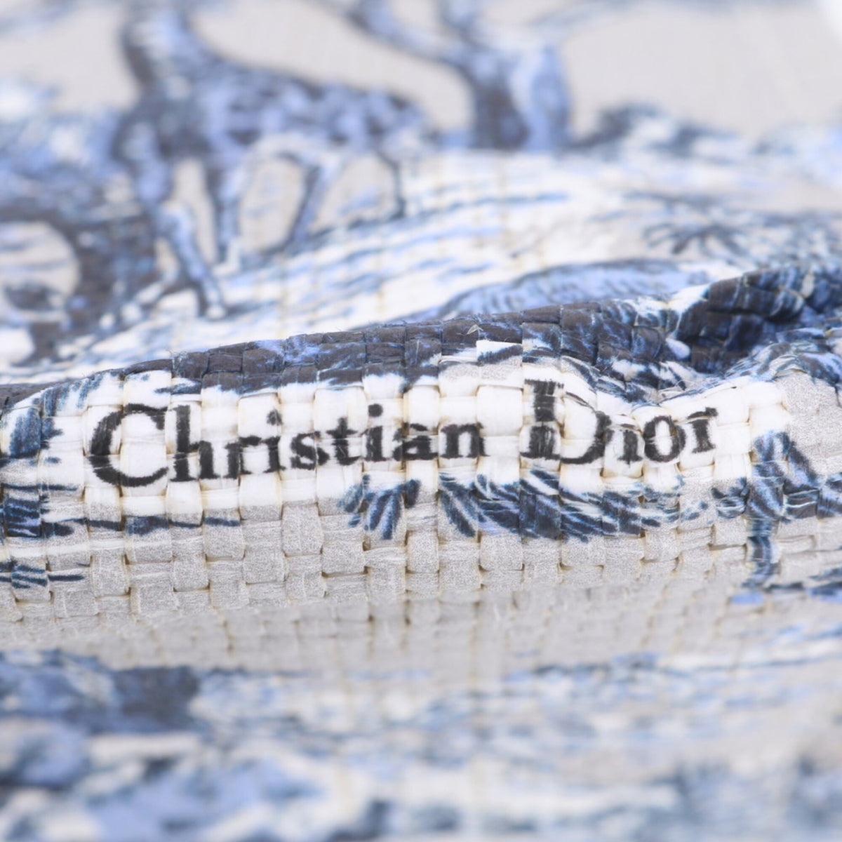 Christian Dior Blue Tote Bag (Pre-Owned)