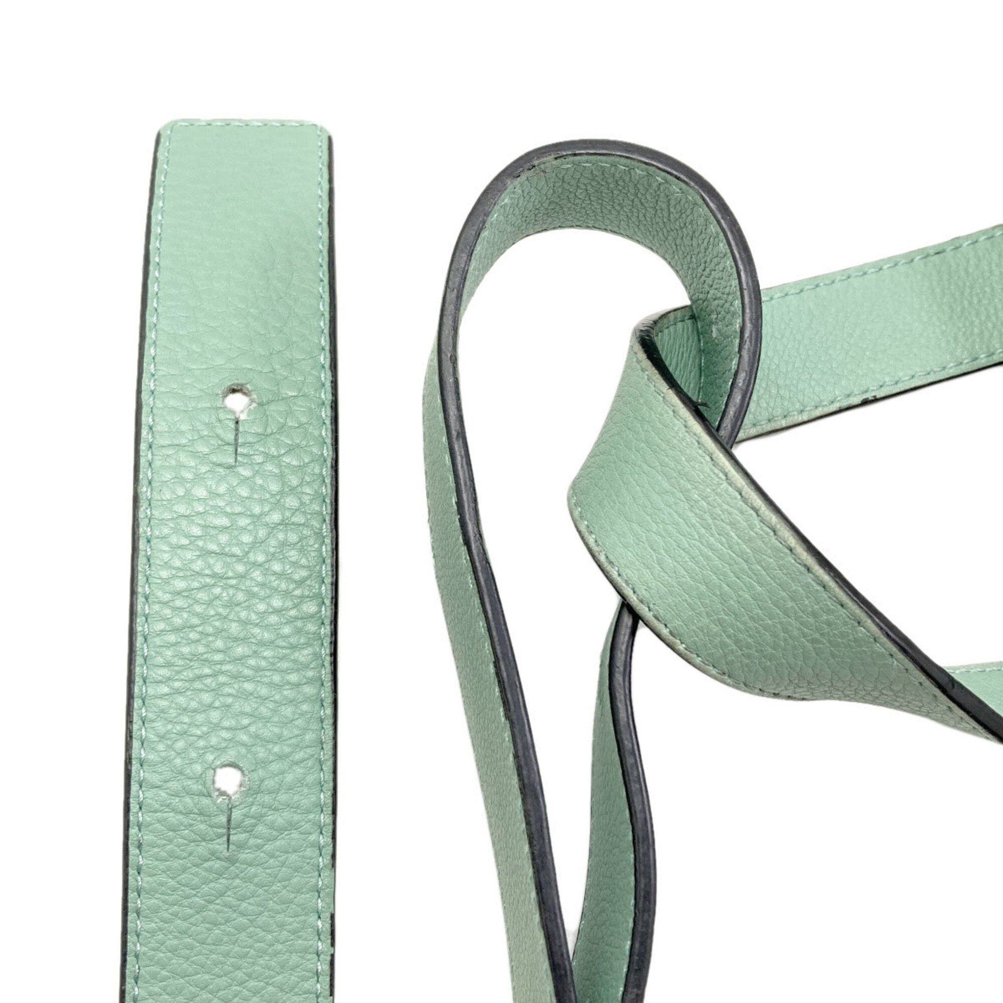 Loewe Light Green Leather Handbag Pouch (Pre-Owned)