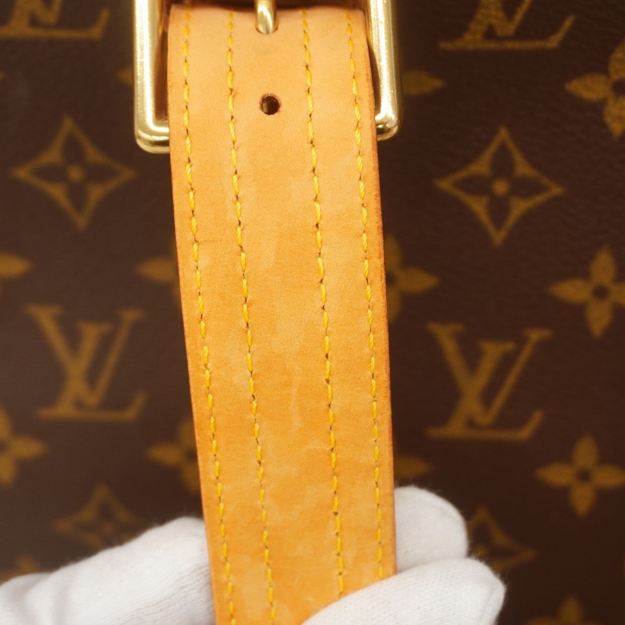 Louis Vuitton Brown Tote Bag (Pre-Owned)
