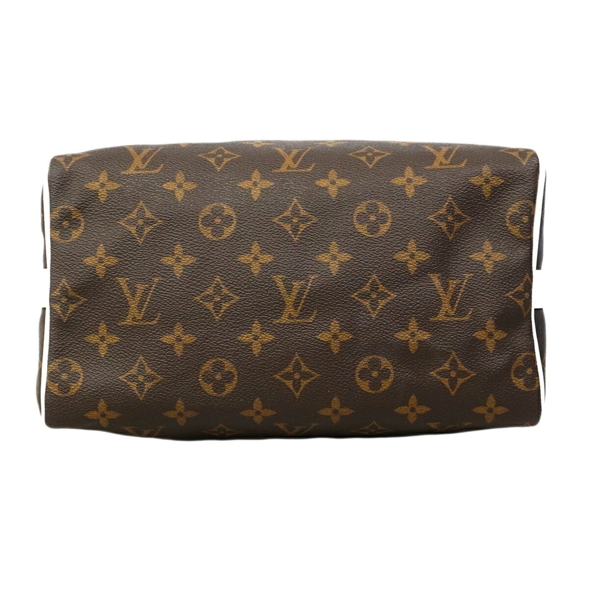 Louis Vuitton Brown Handbag (Pre-Owned)