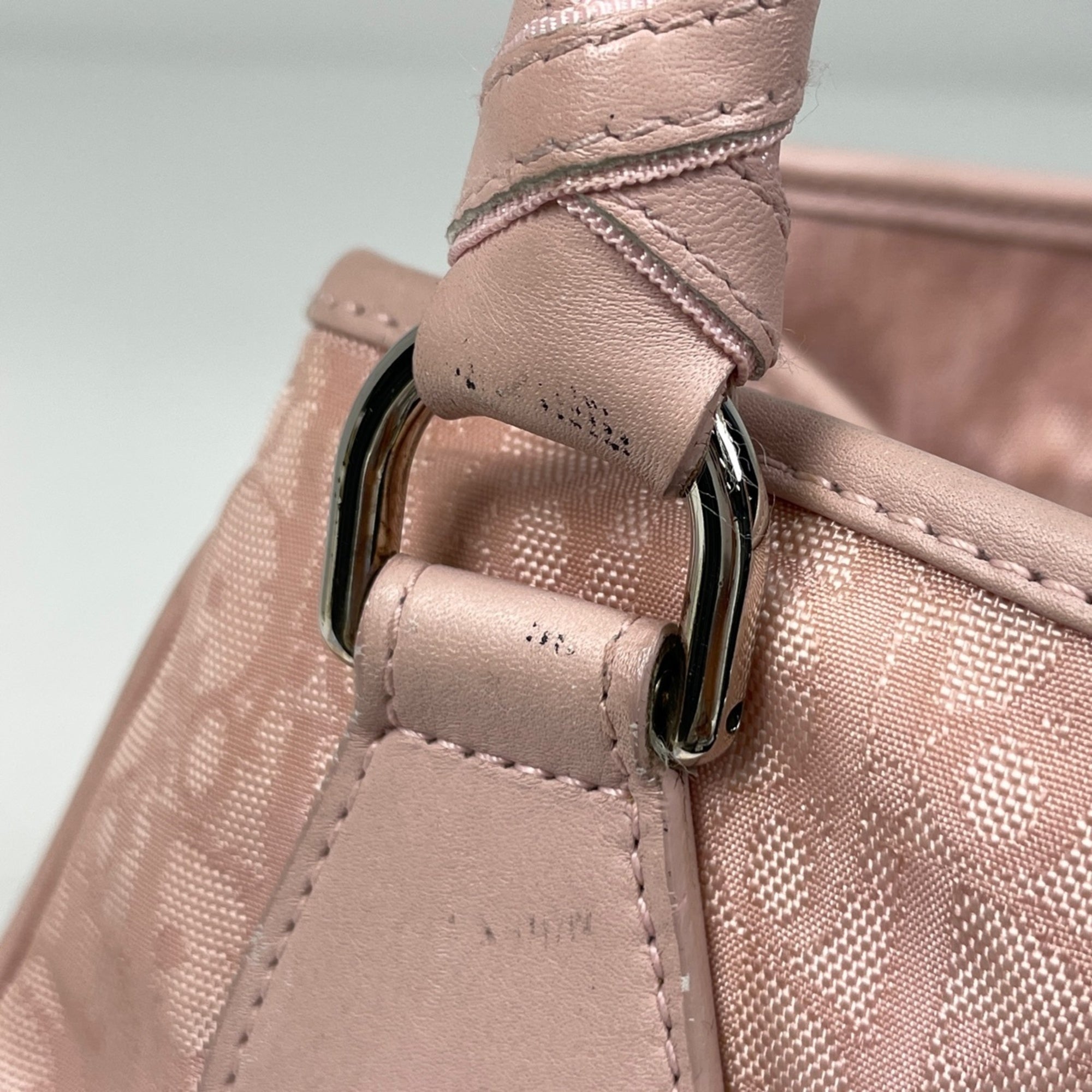 Christian Dior Pink Trotter Handbag Tote Bag (Pre-Owned)