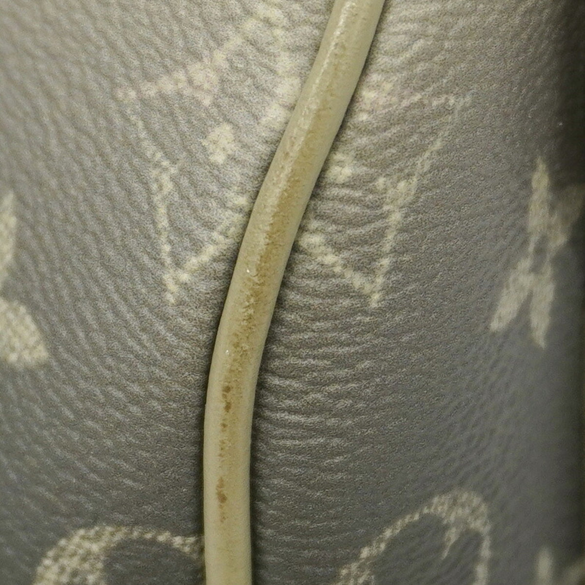 Louis Vuitton Green Handbag (Pre-Owned)