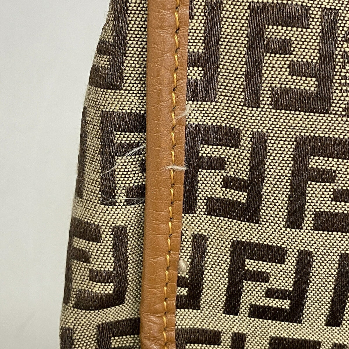 Fendi Brown Nylon Canvas Tote Bag (Pre-Owned)