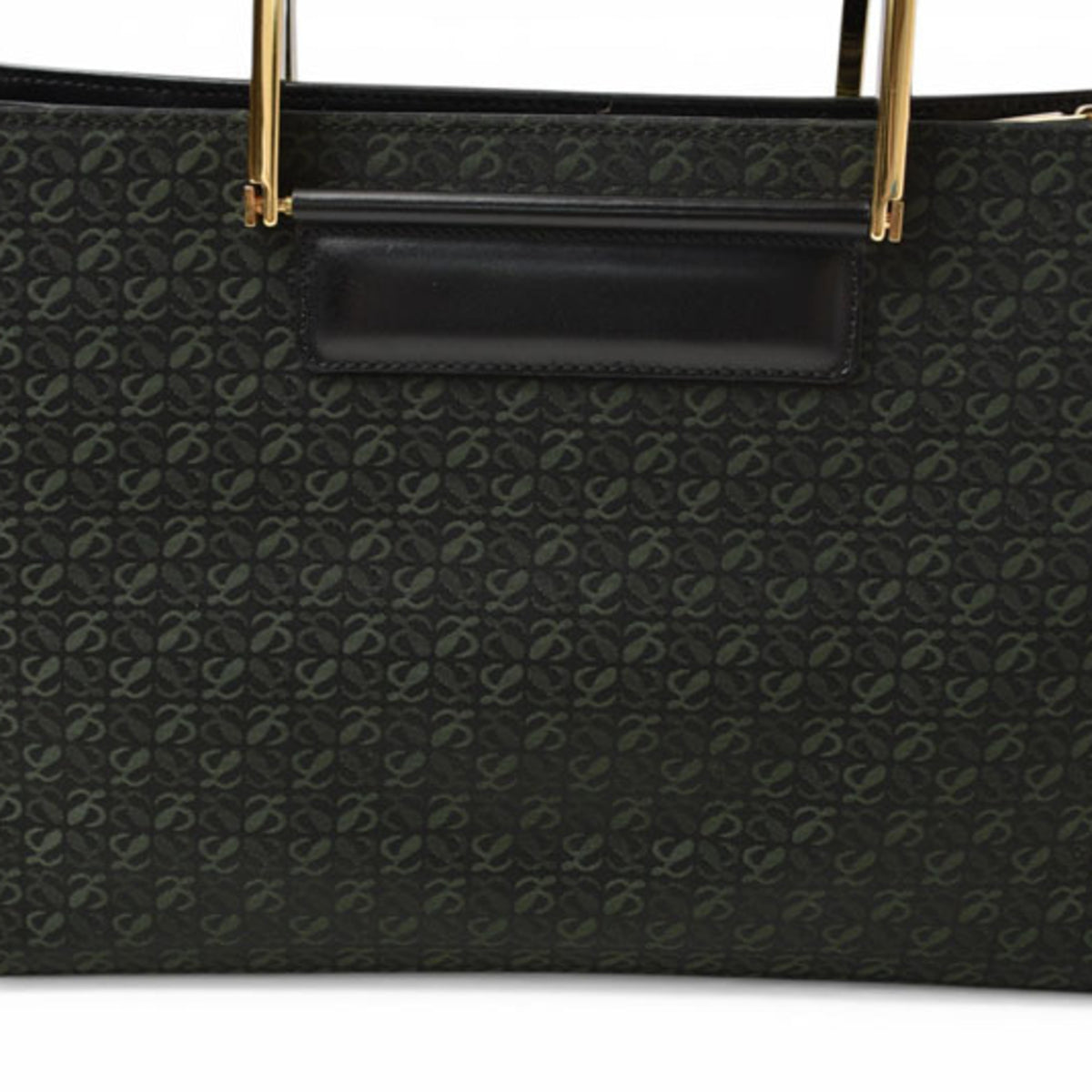Loewe Black Green Leather Canvas Handbag (Pre-Owned)