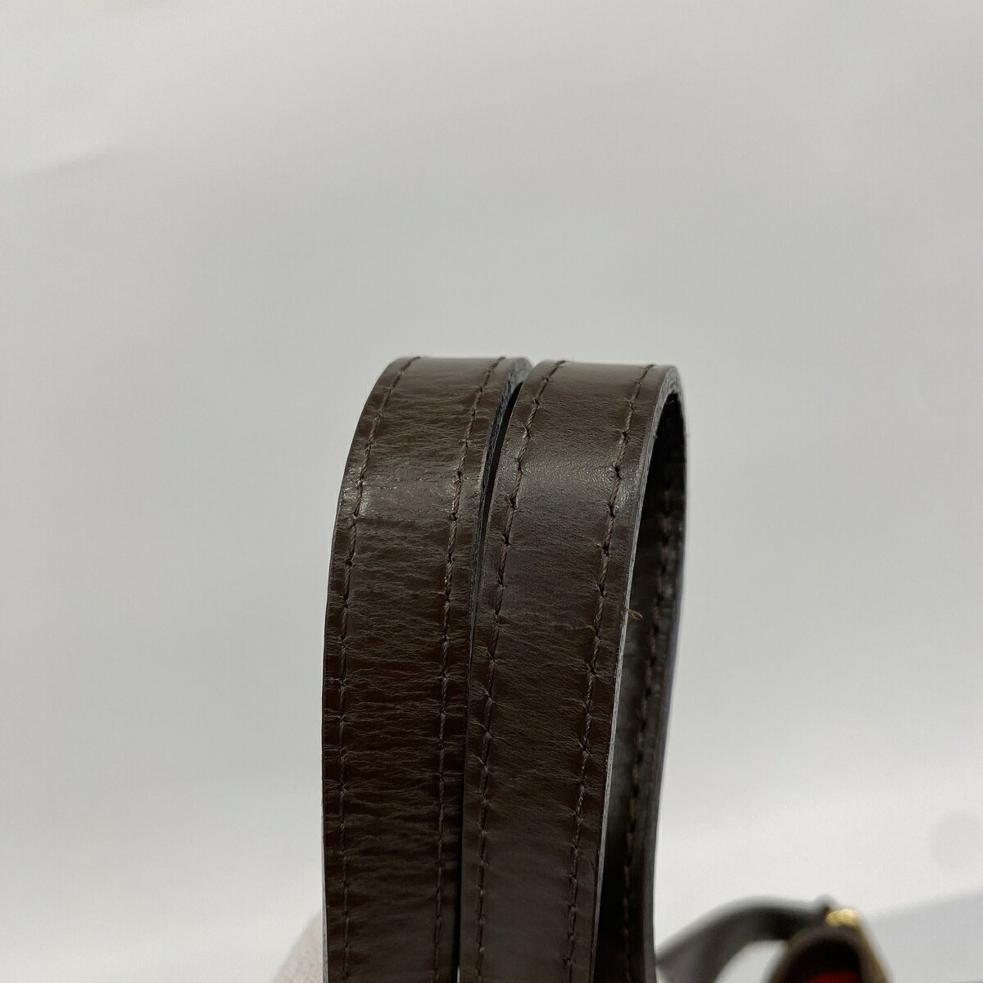 Louis Vuitton Ebene Tote Bag (Pre-Owned)